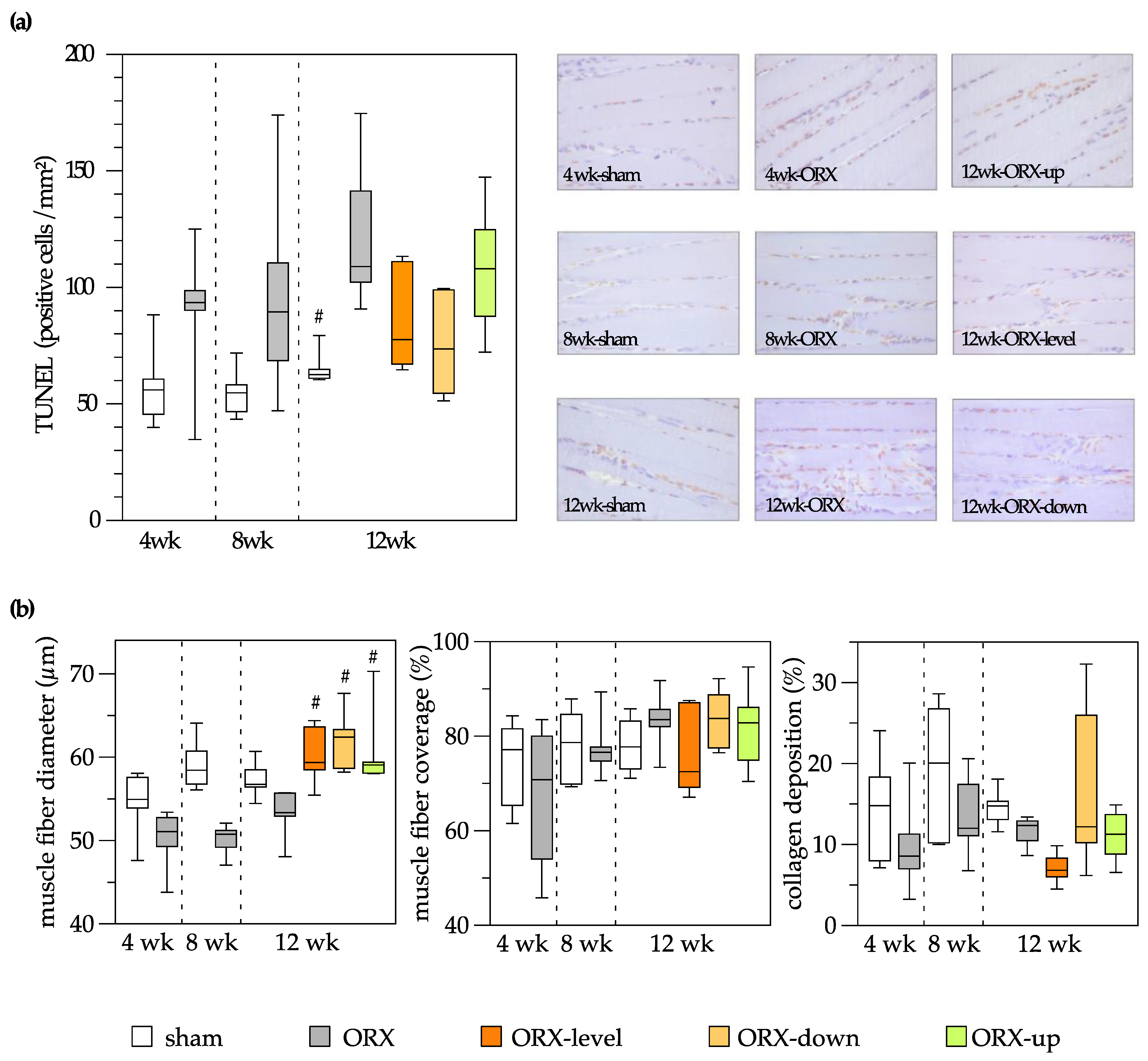 Biomedicines 11 01370 g005