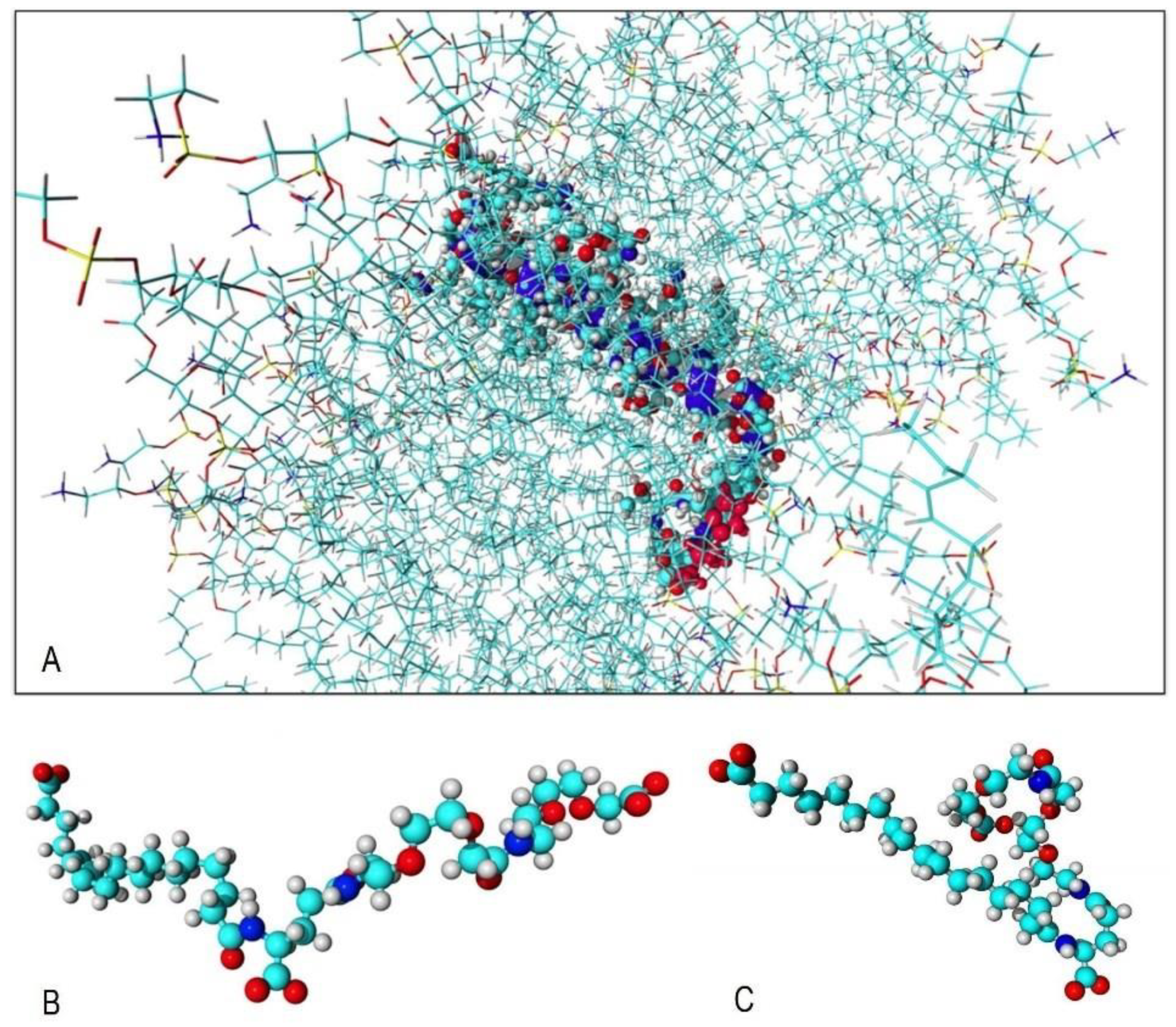 Biomedicines 11 01421 g004