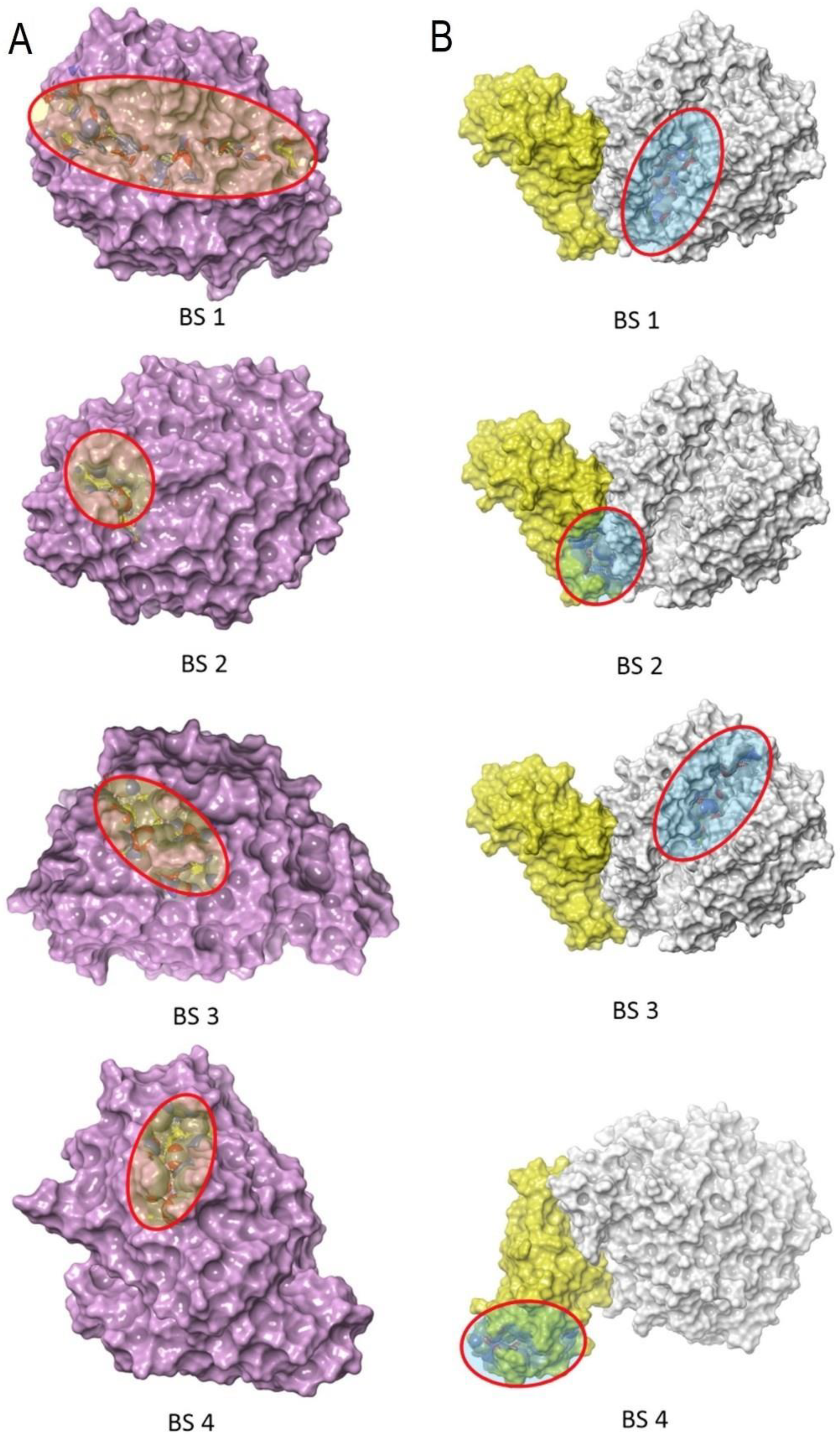 Biomedicines 11 01421 g007