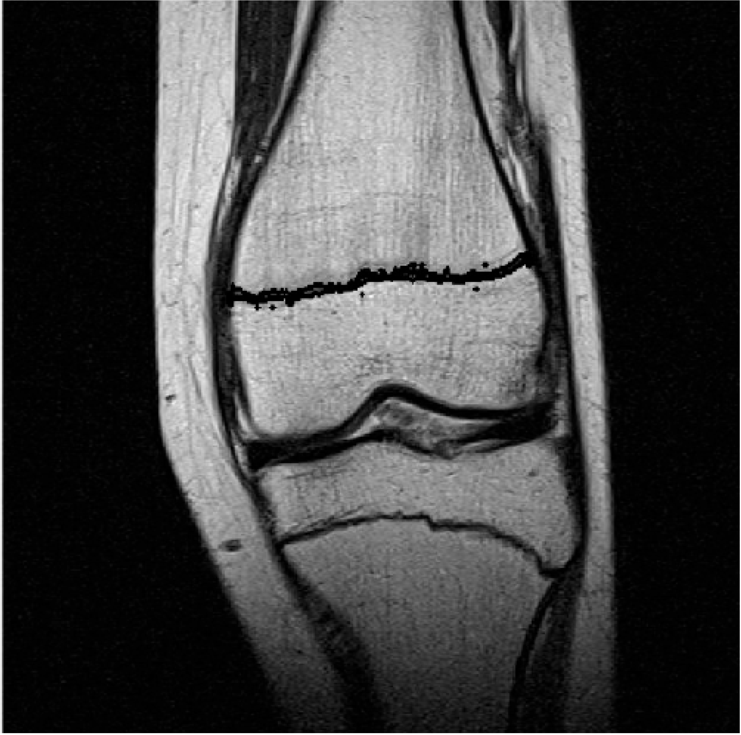 Biomedicines 11 02046 g004