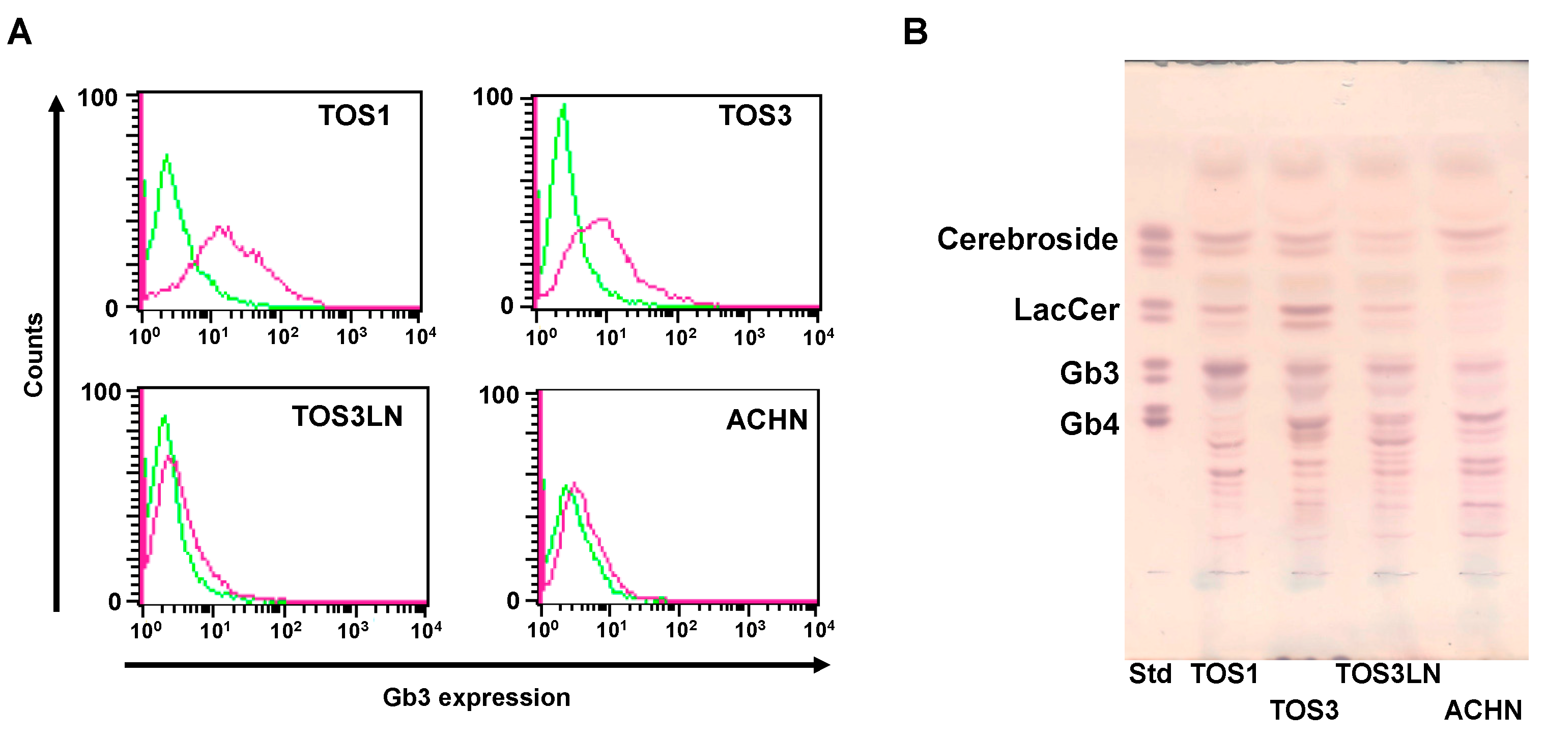 Biomedicines 11 02317 g001
