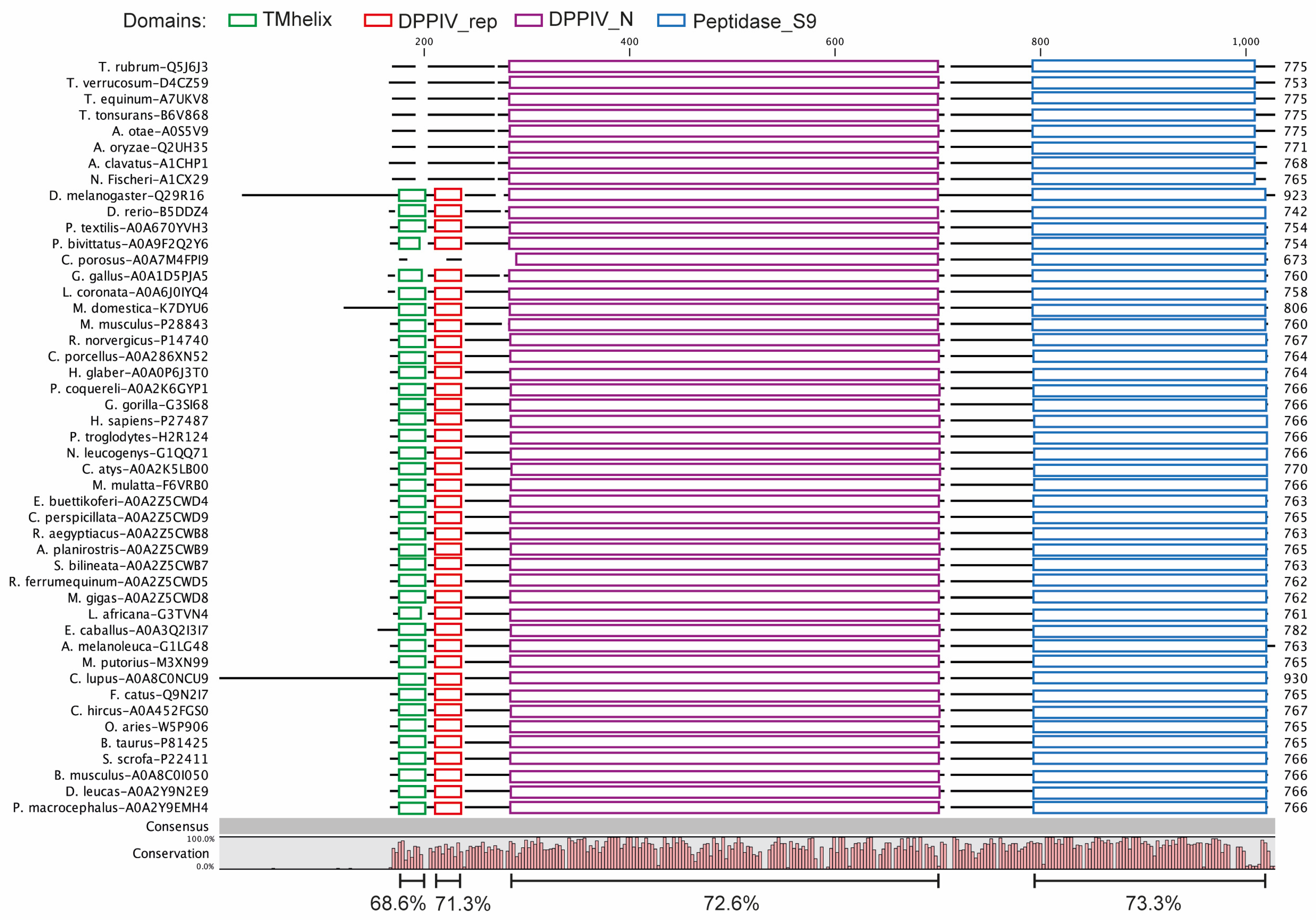 Biomedicines 11 03032 g001