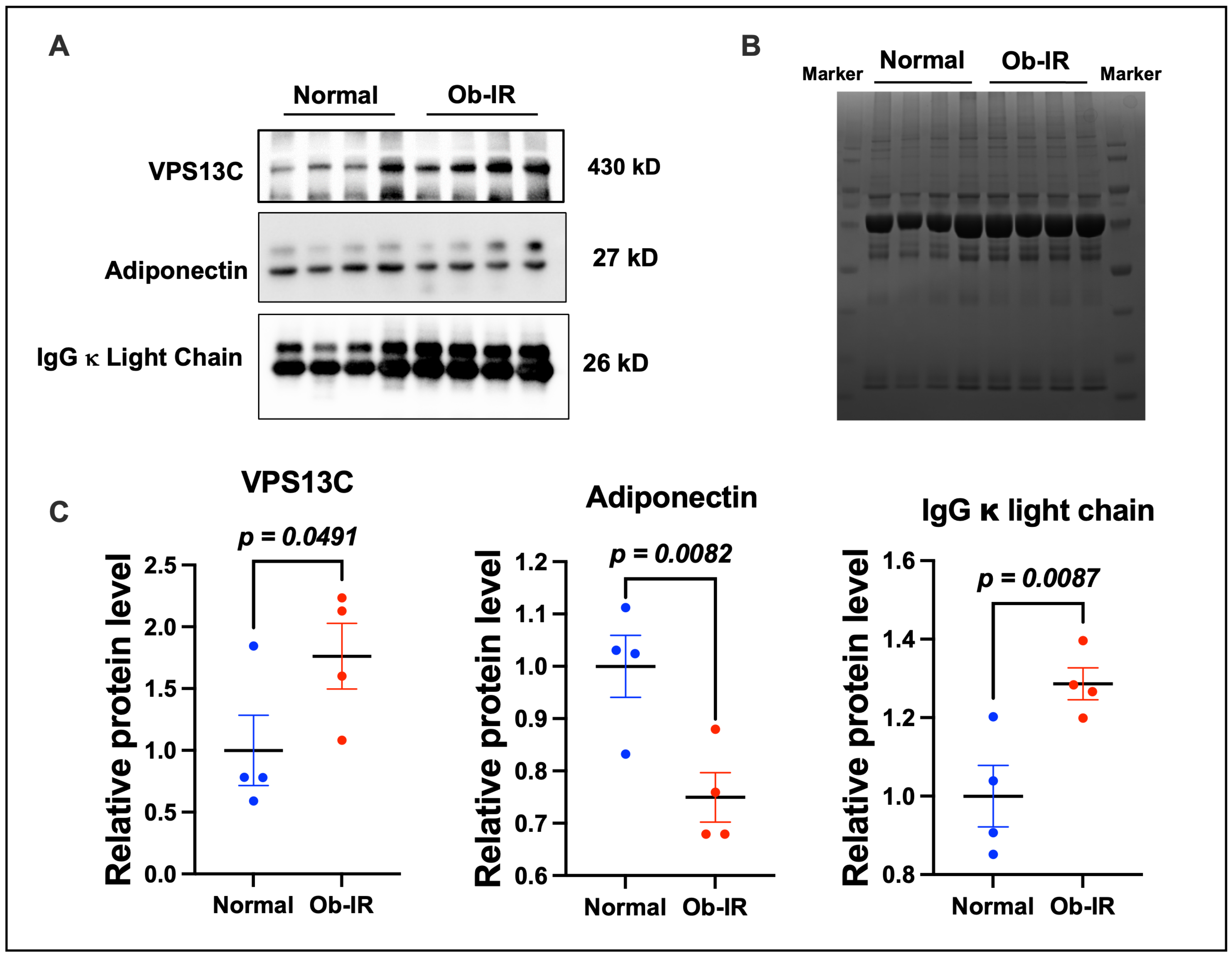 Biomedicines 12 00799 g006