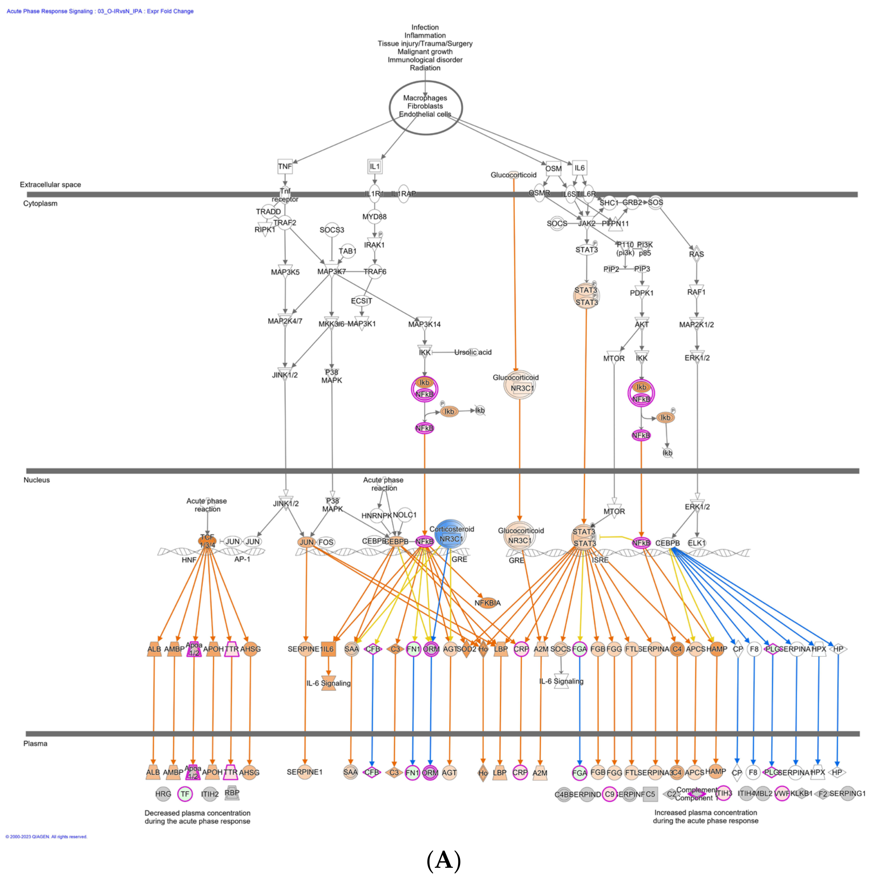 Biomedicines 12 00799 g007a