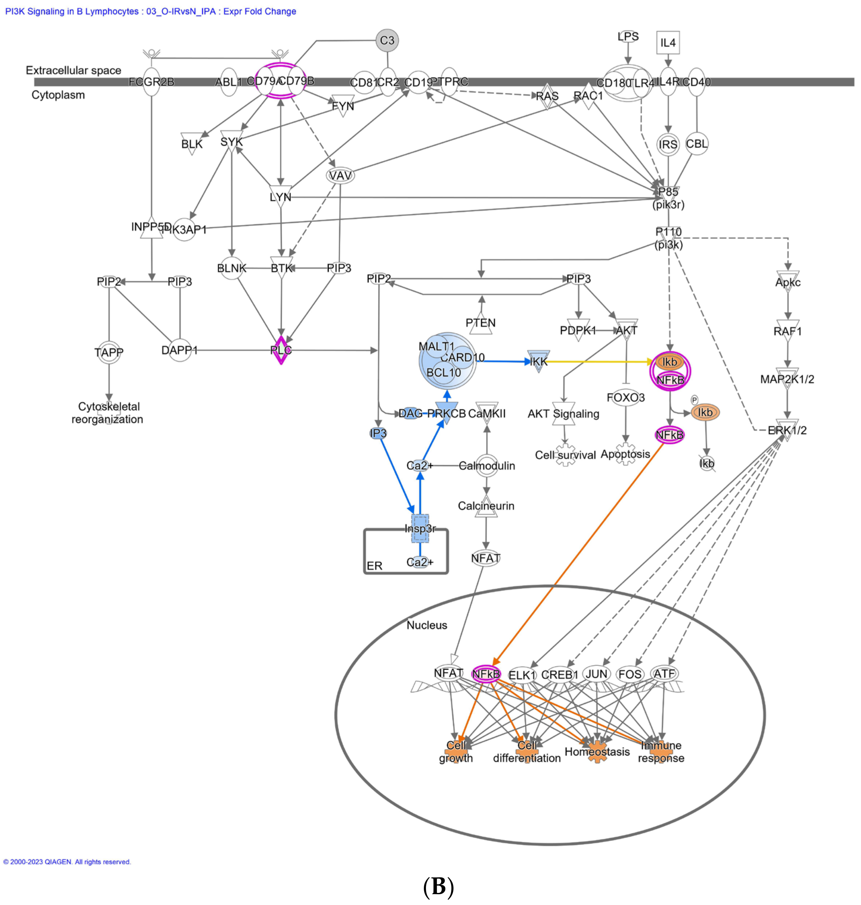 Biomedicines 12 00799 g007b
