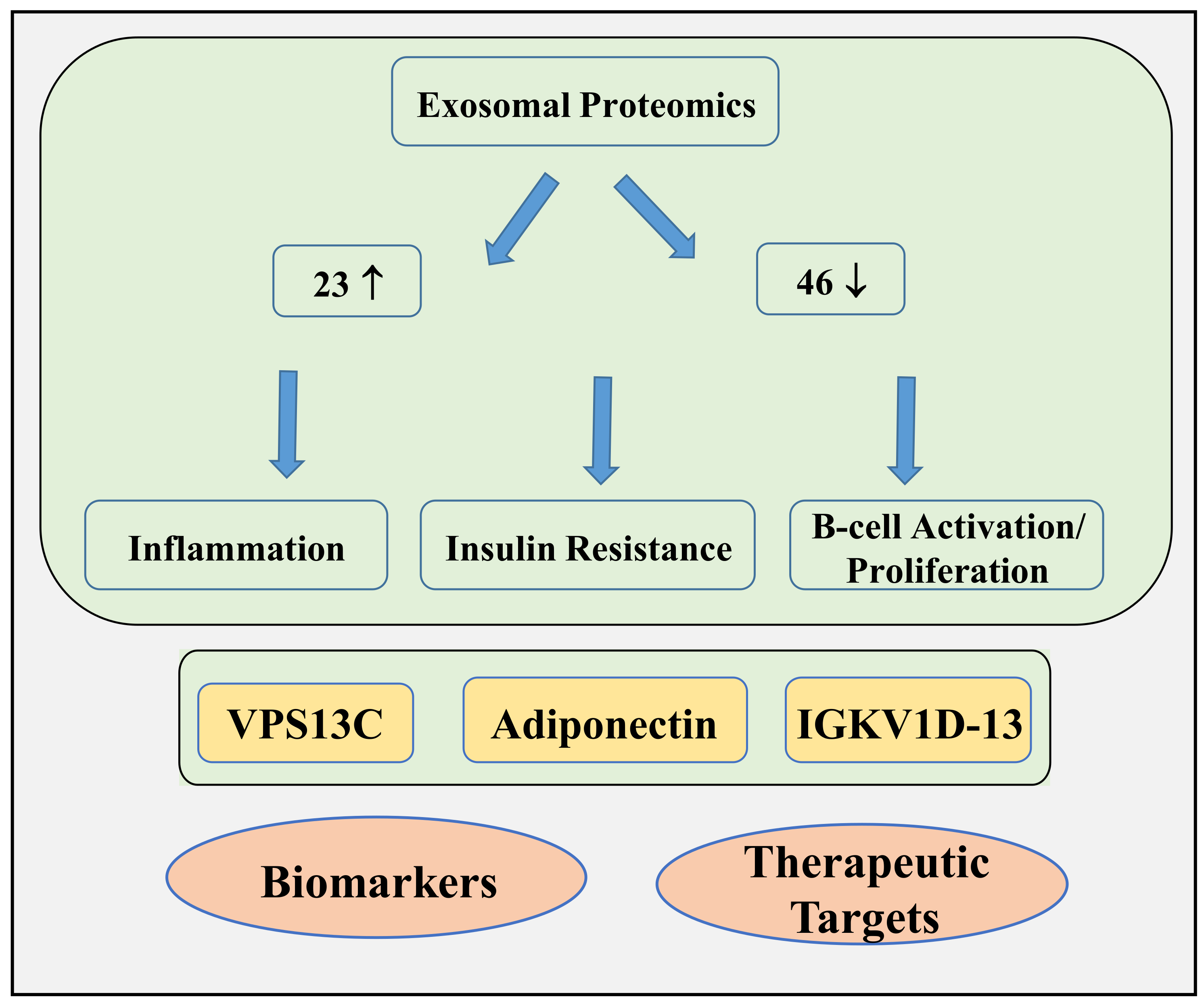 Biomedicines 12 00799 g008