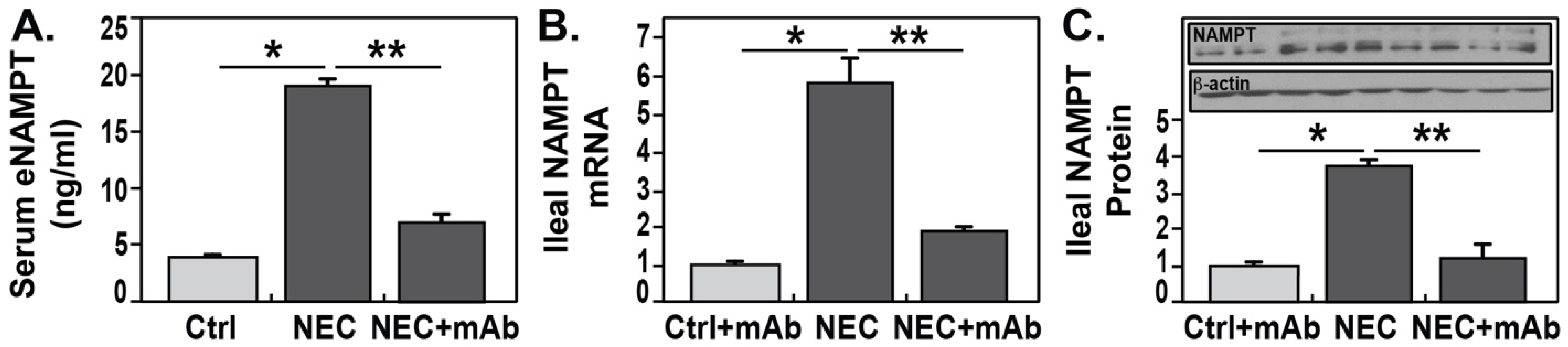 Biomedicines 12 00970 g002