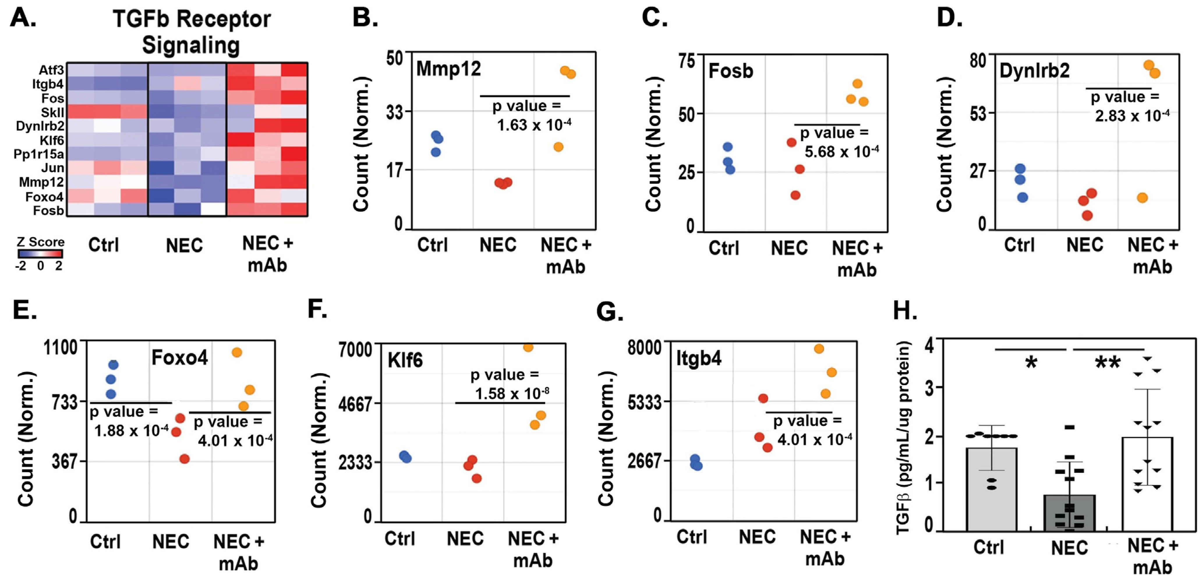 Biomedicines 12 00970 g006