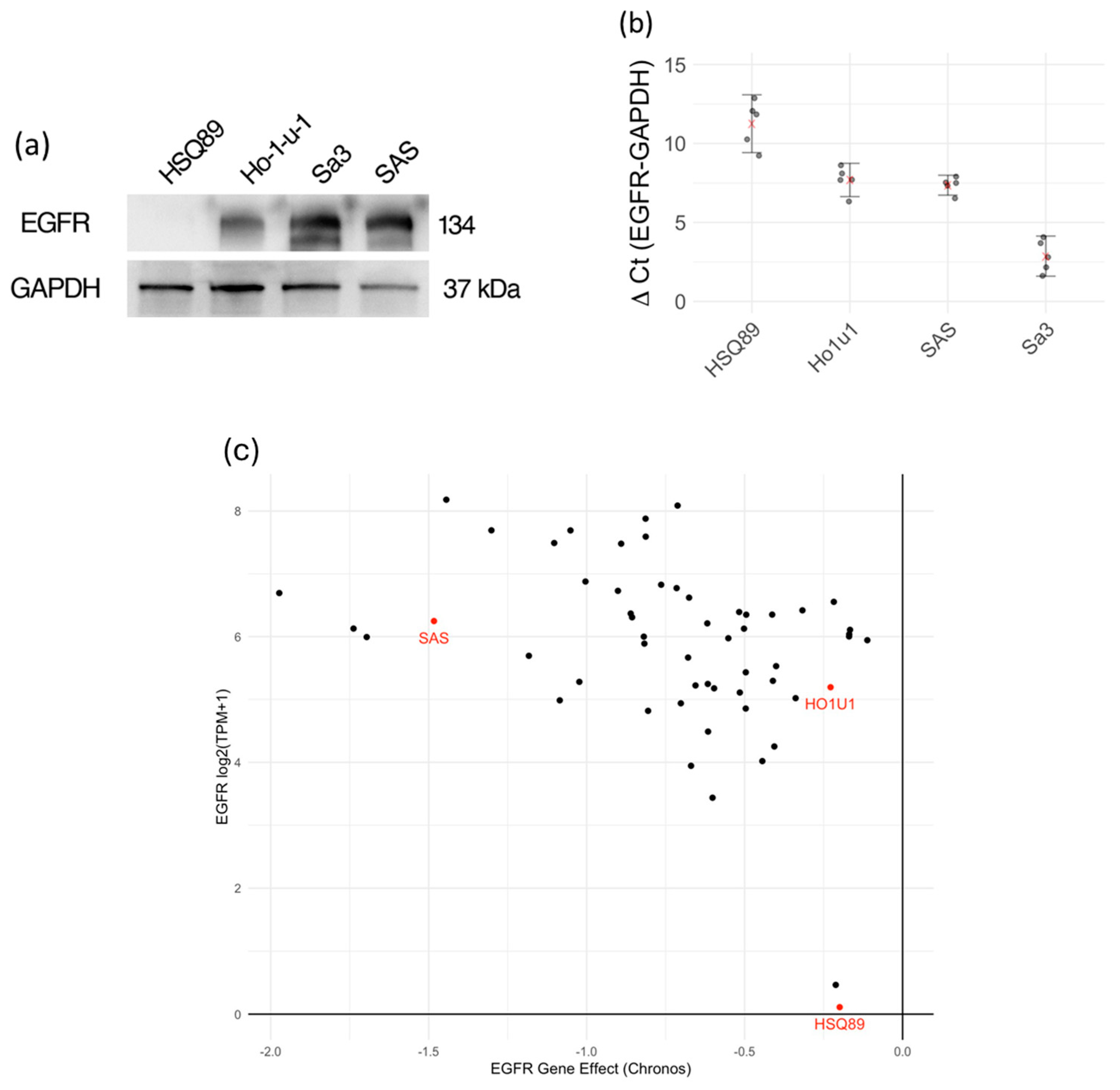 Biomedicines 12 00973 g001