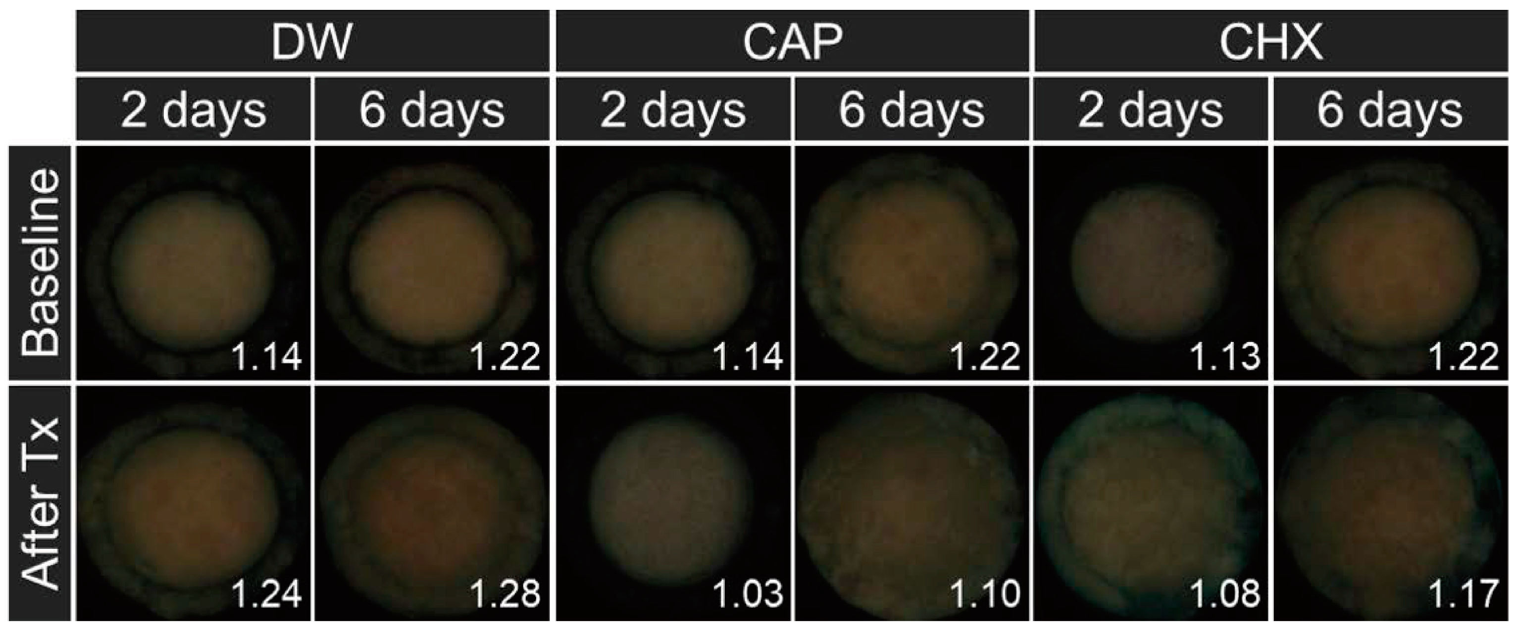 Biomedicines 12 01056 g003