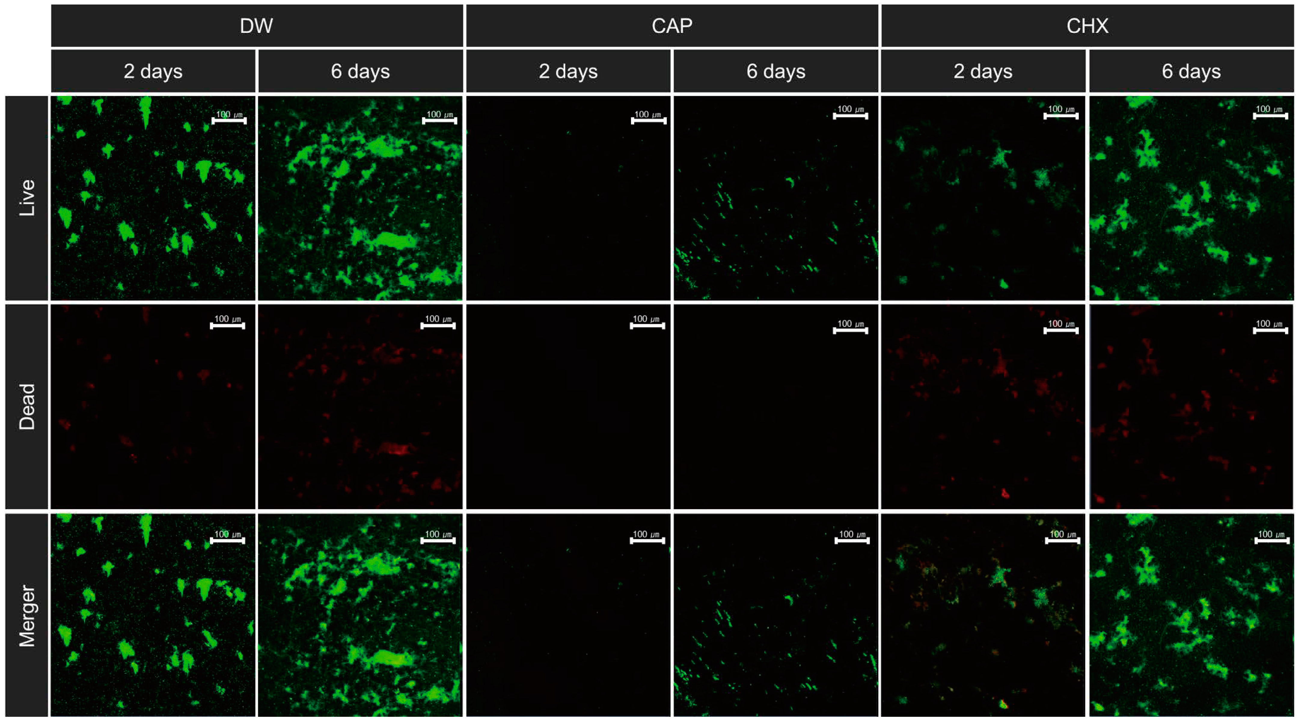 Biomedicines 12 01056 g005