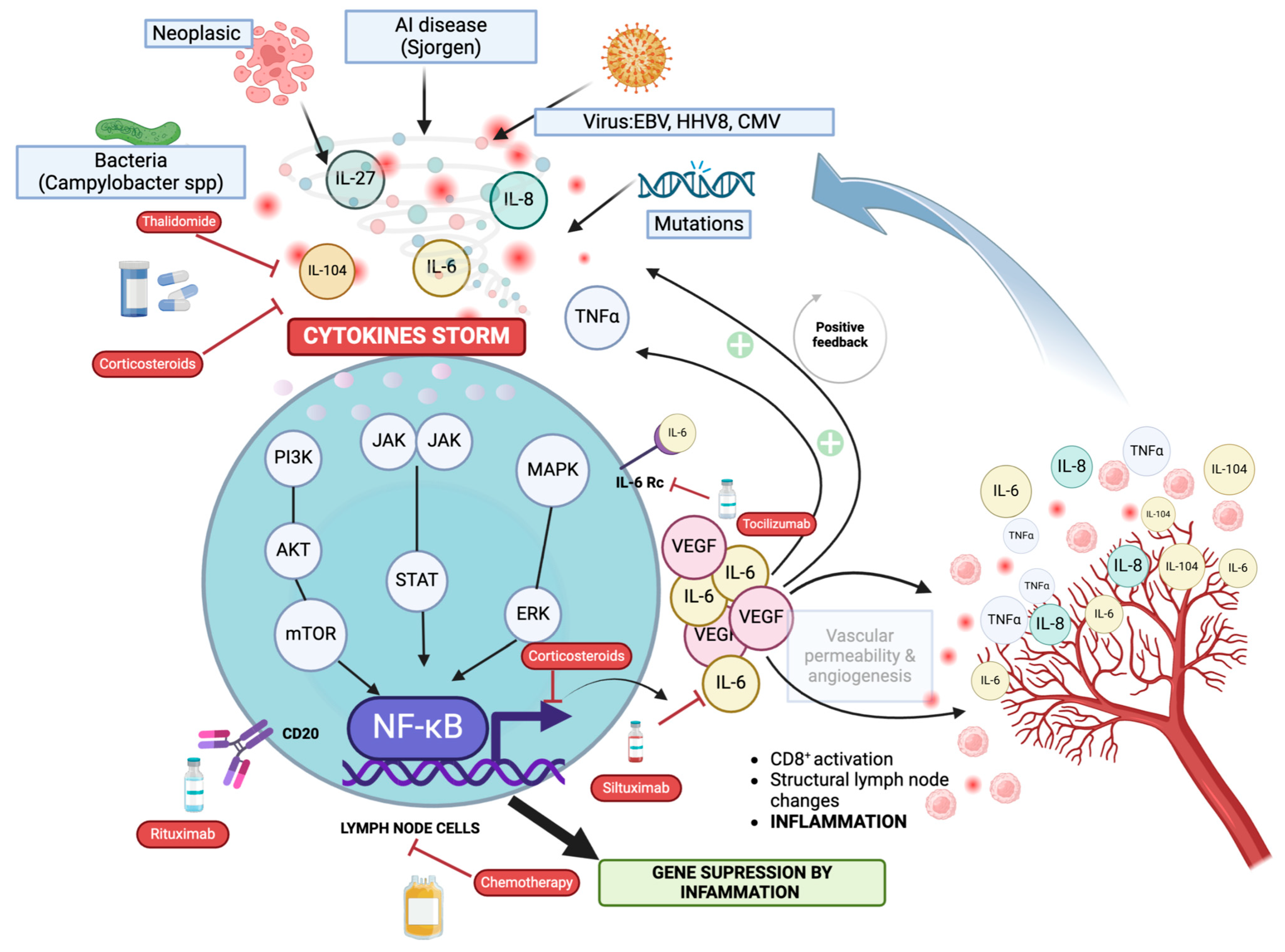 Biomedicines 12 01076 g001