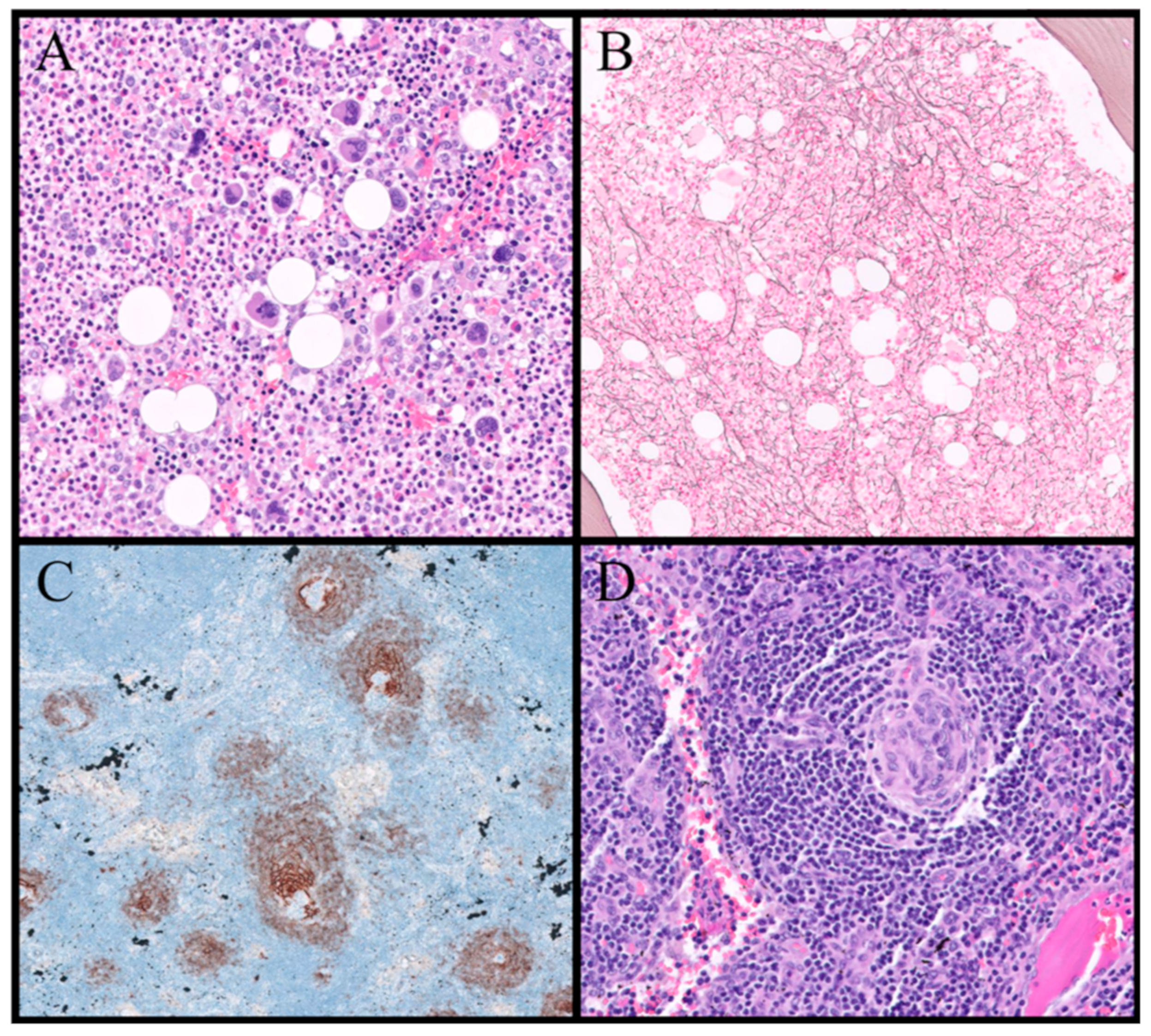 Biomedicines 12 01076 g003