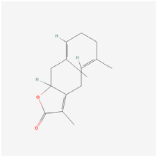 Biomedicines 12 01138 i014