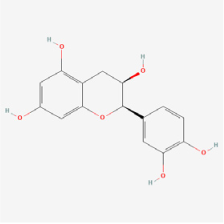 Biomedicines 12 01138 i024