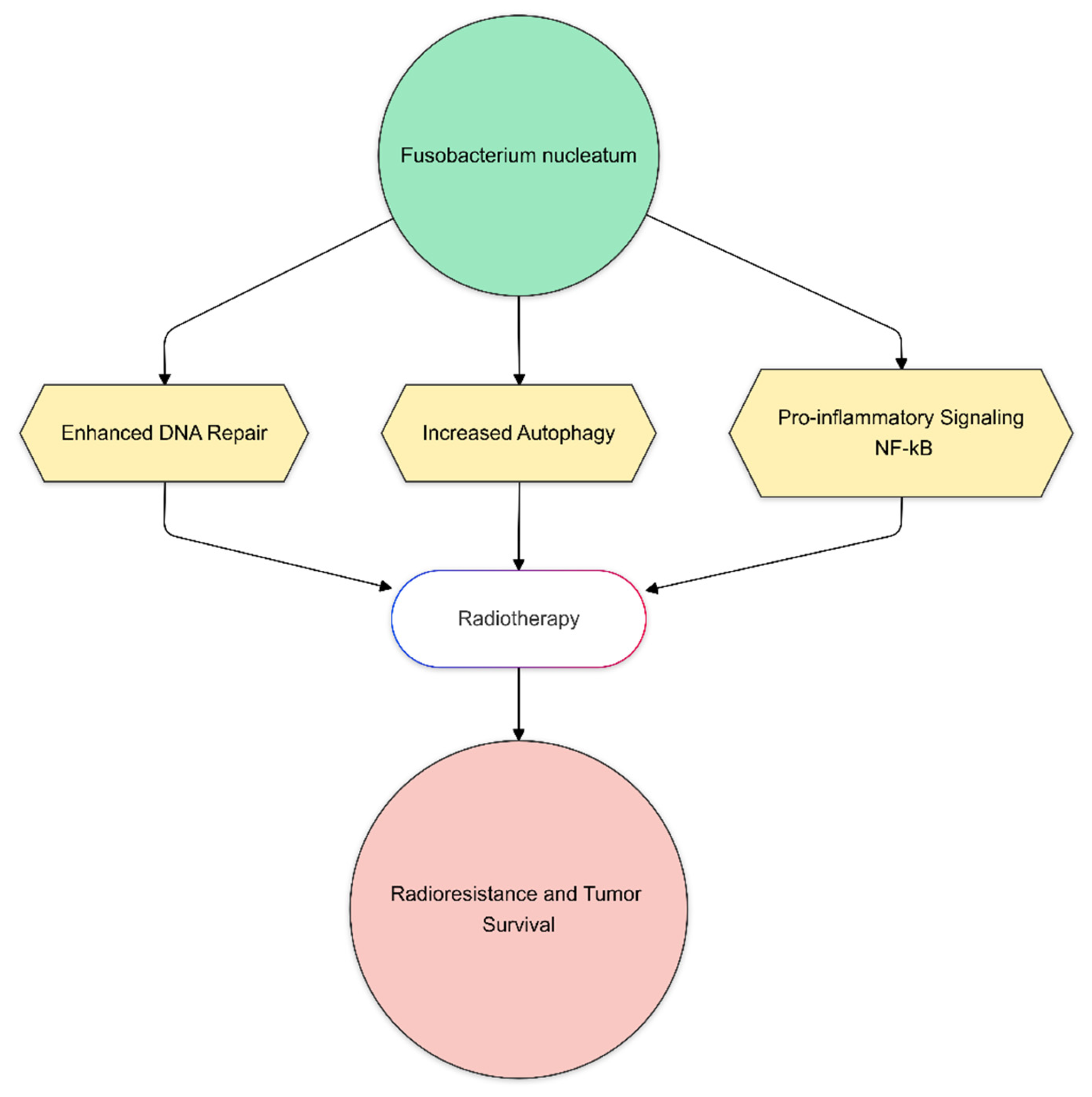 Biomedicines 13 00526 g004