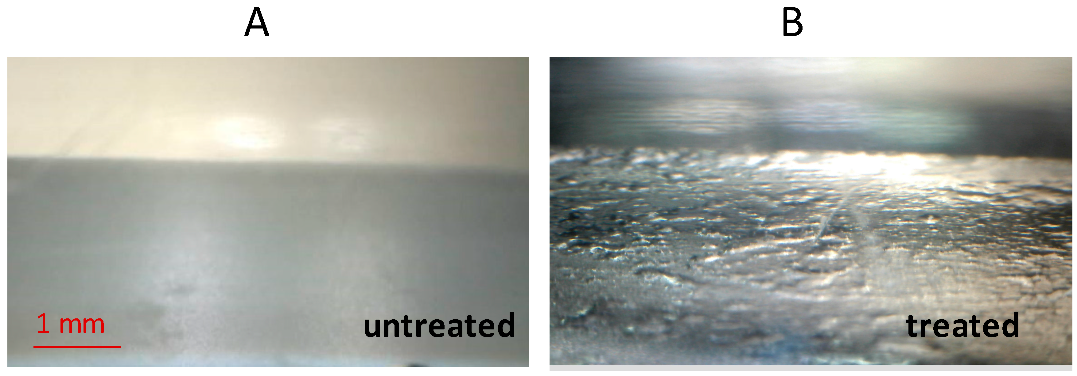 Biomimetics 02 00001 g005