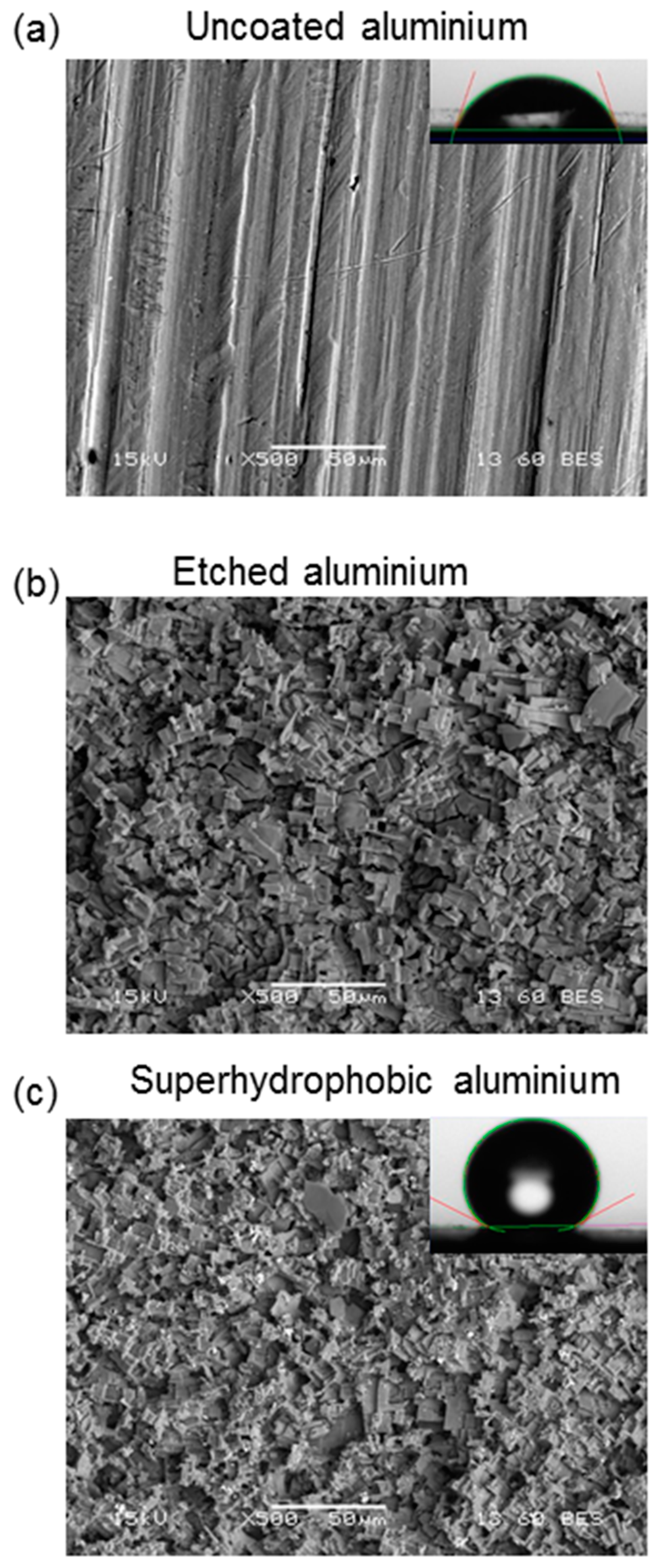 Biomimetics 02 00002 g002