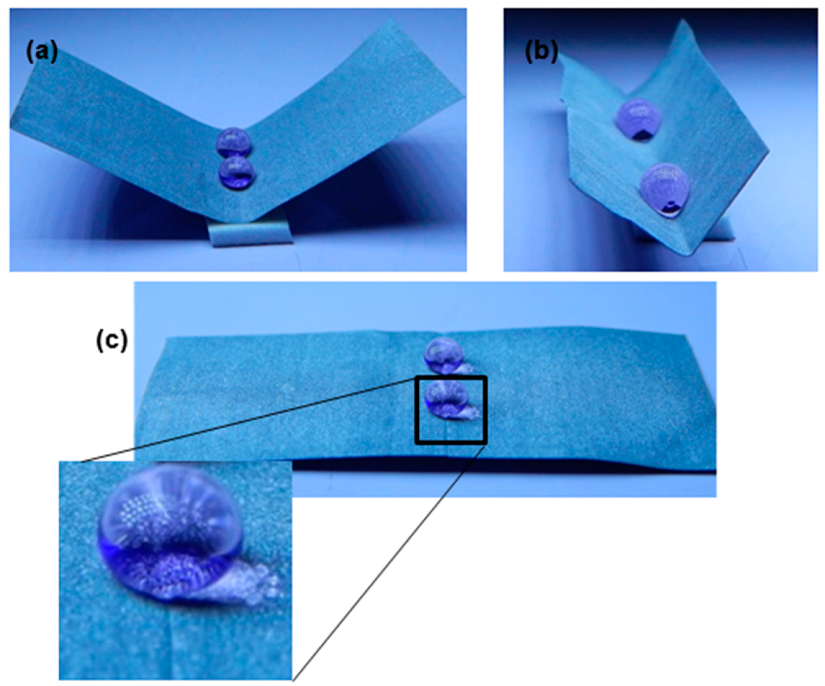 Biomimetics 02 00002 g006
