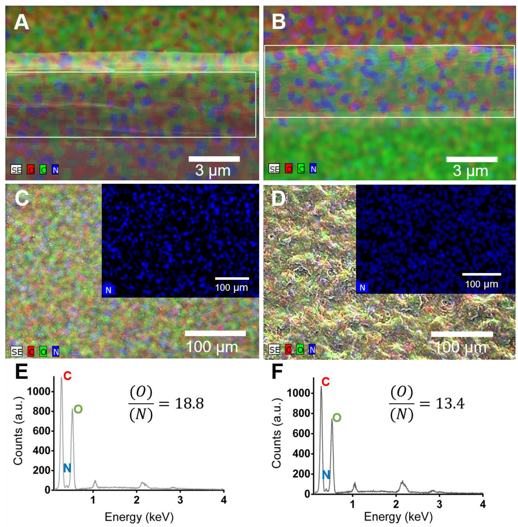 download ecology of fragmented