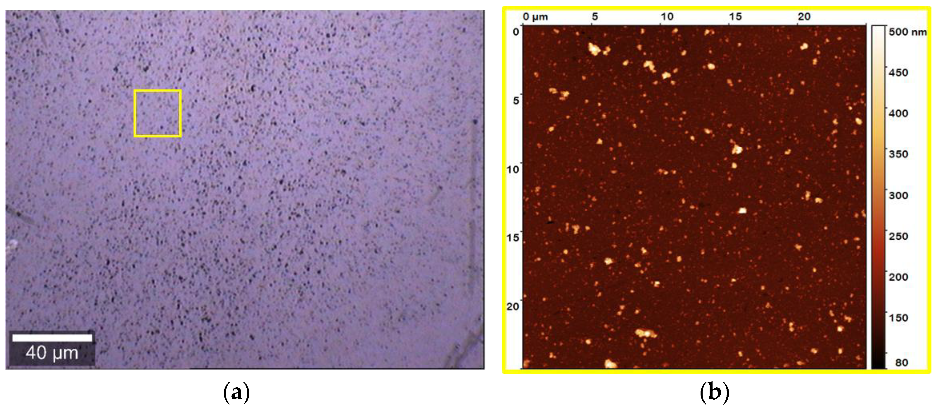 Biomimetics 03 00026 g003