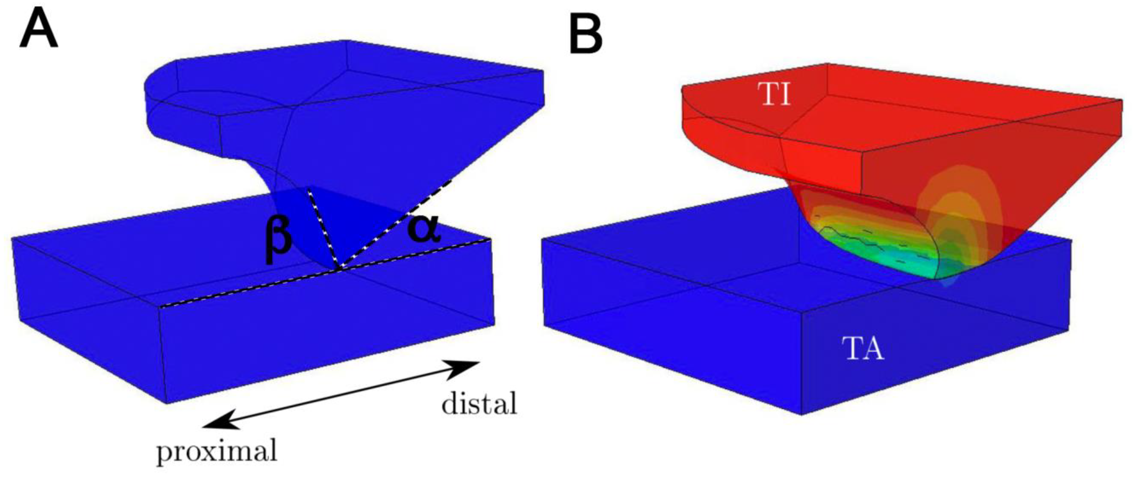 Biomimetics 05 00014 g004 Biomimetics 05 00014 g004