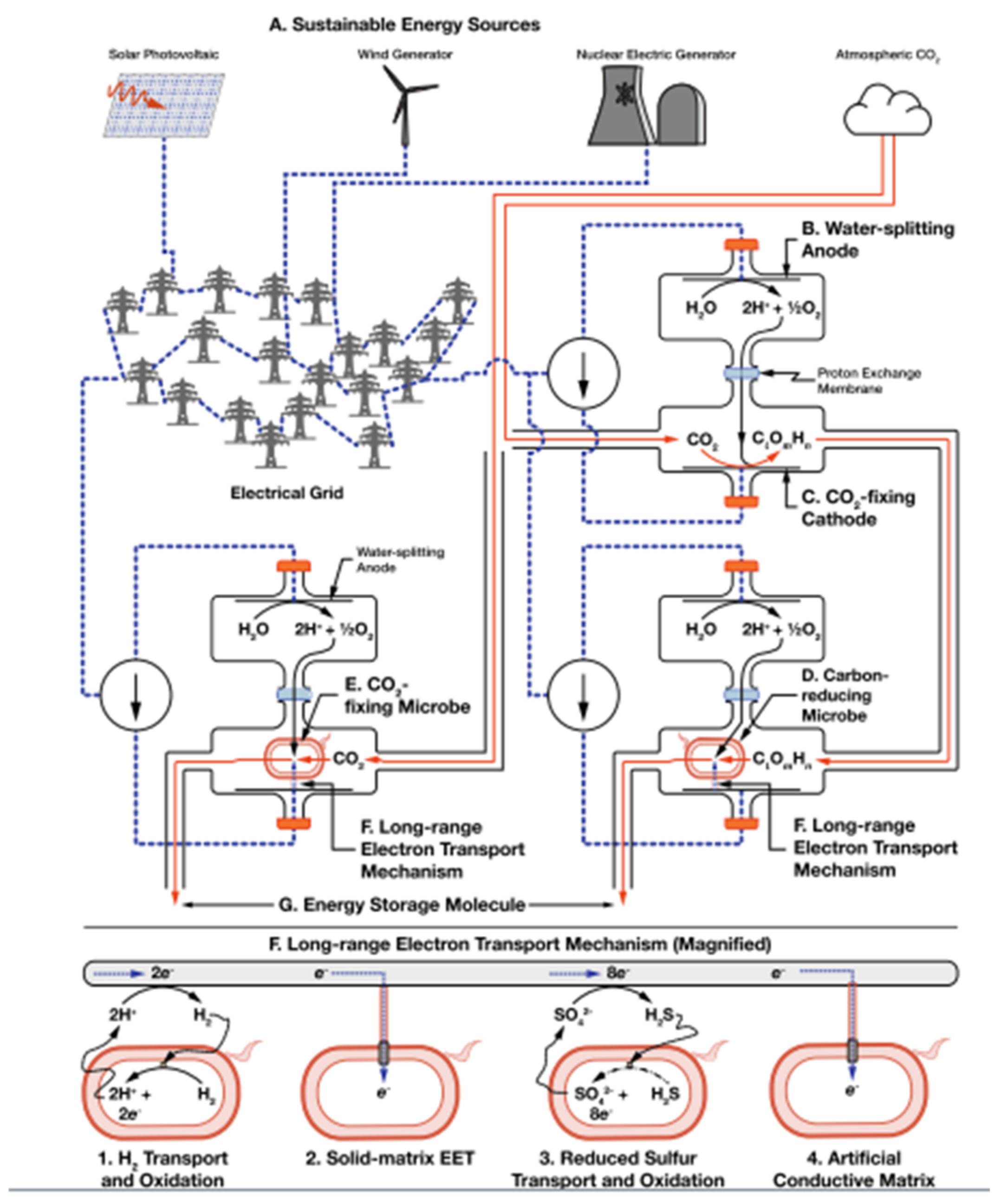 Biomimetics 06 00051 g008