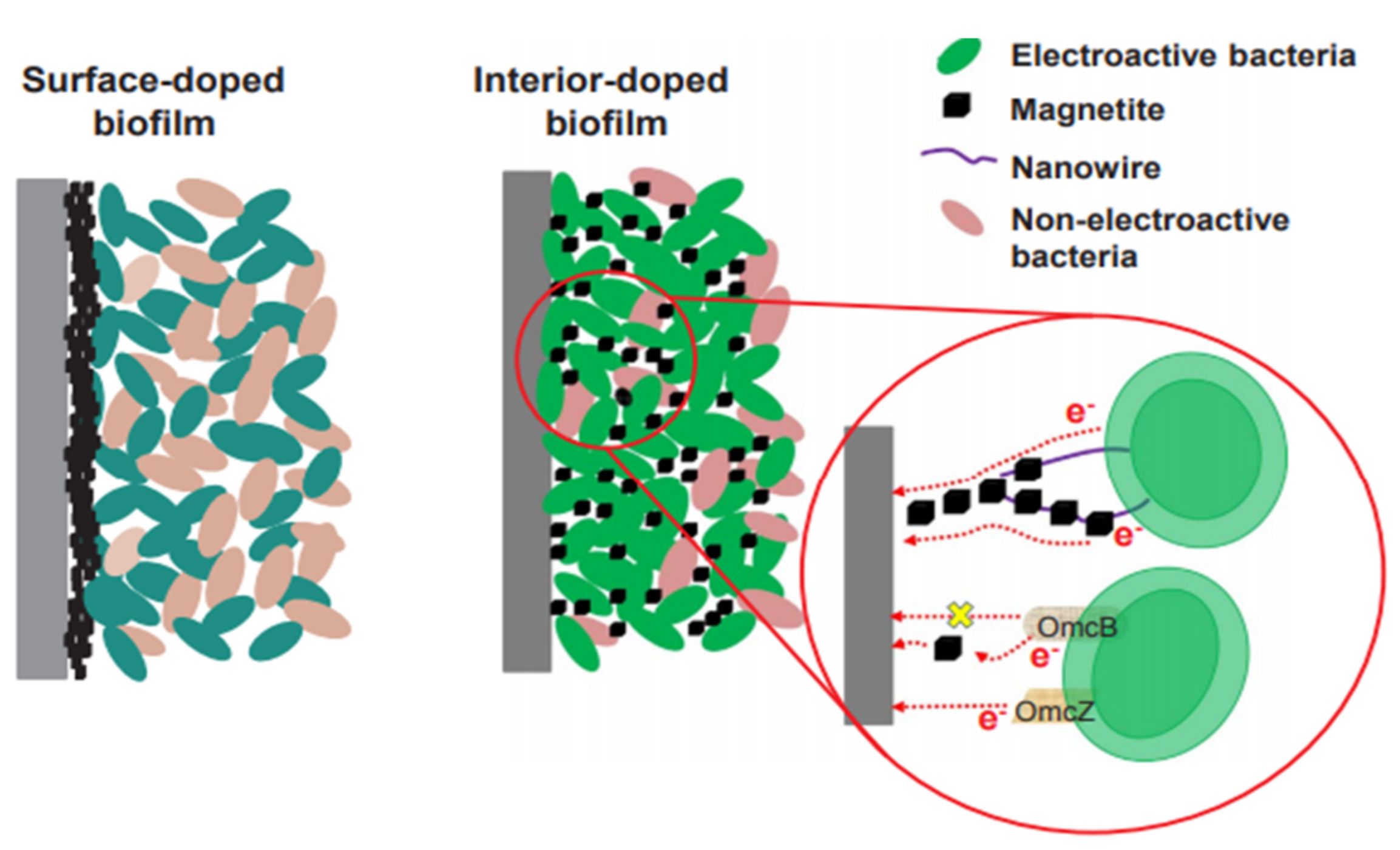 Biomimetics 06 00051 g011
