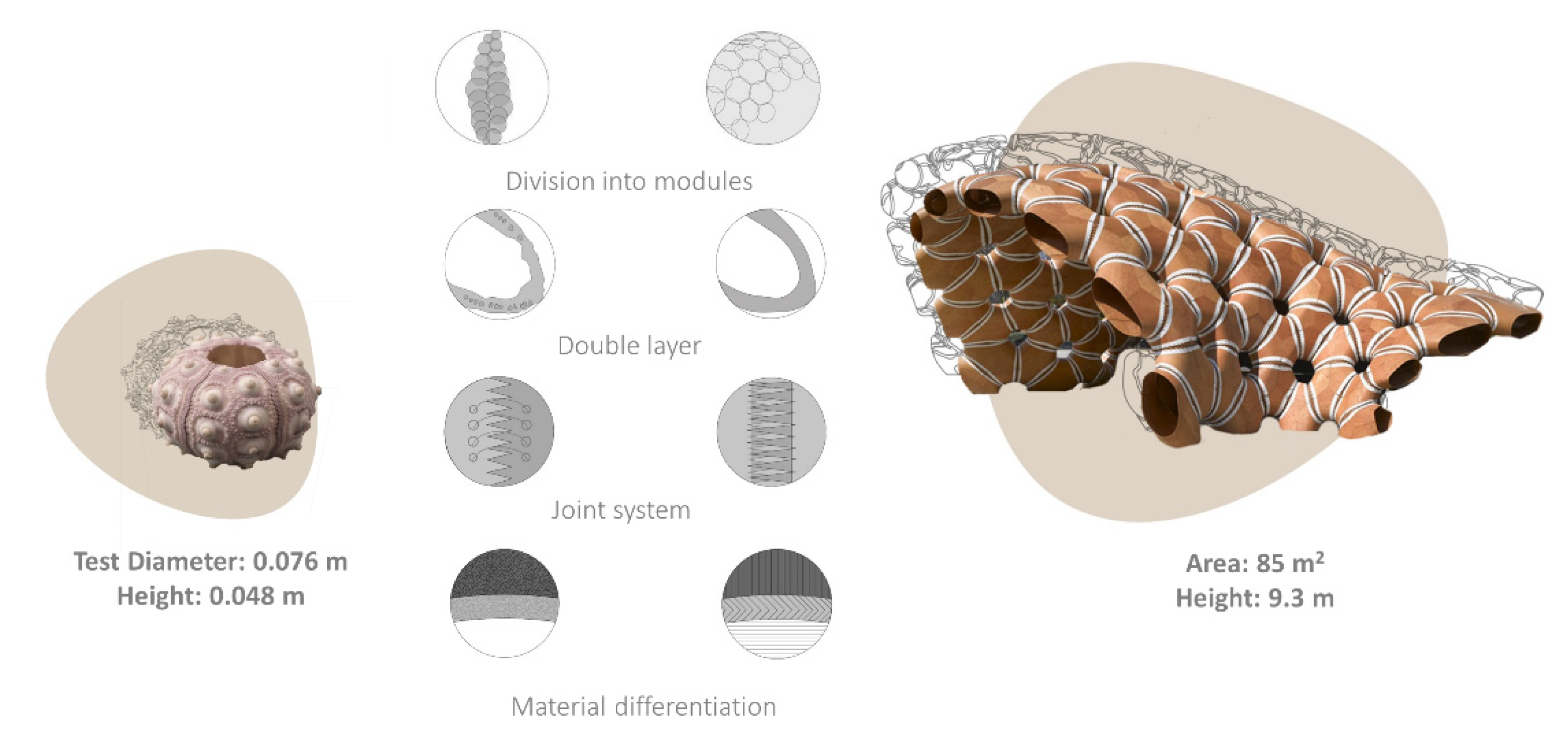 Biomimetics 06 00056 g001