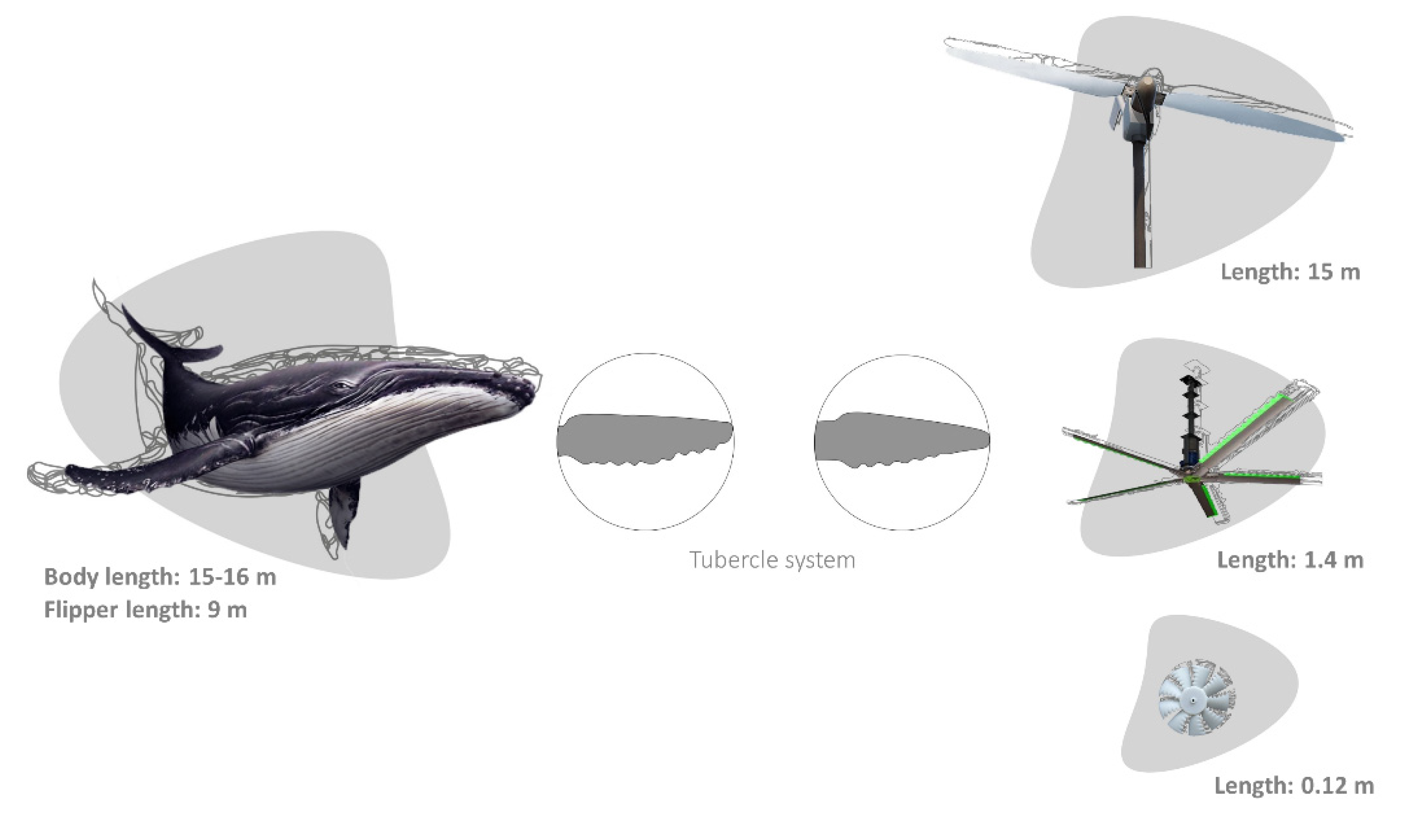 Biomimetics 06 00056 g002