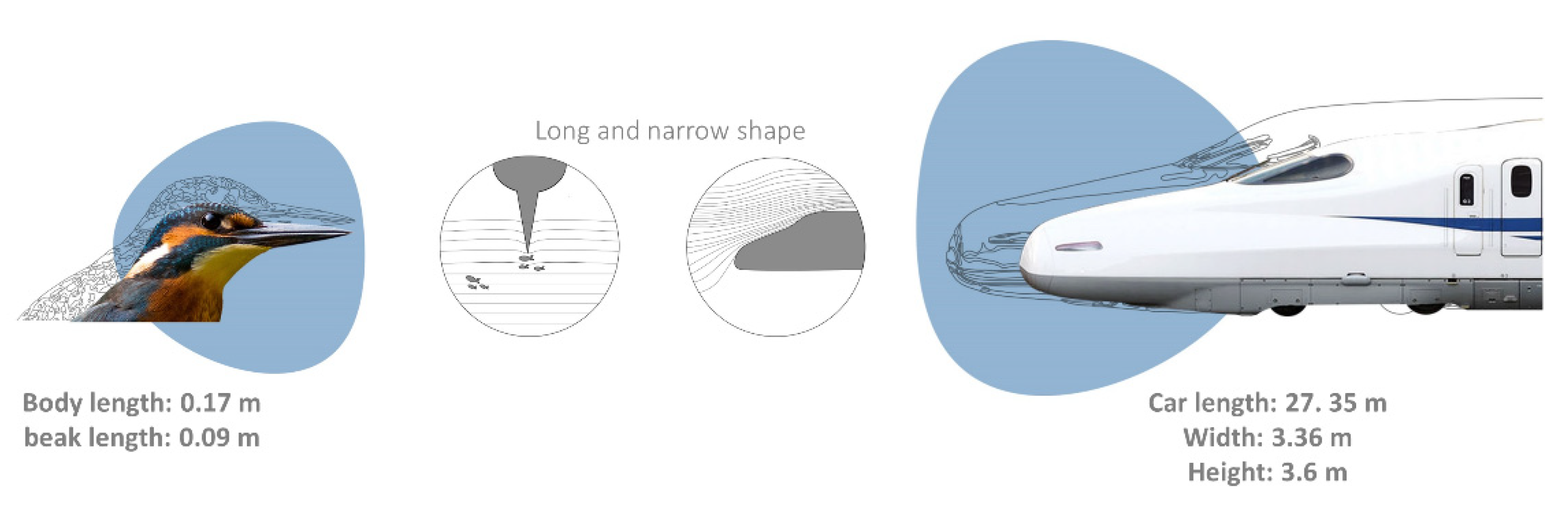 Biomimetics 06 00056 g004