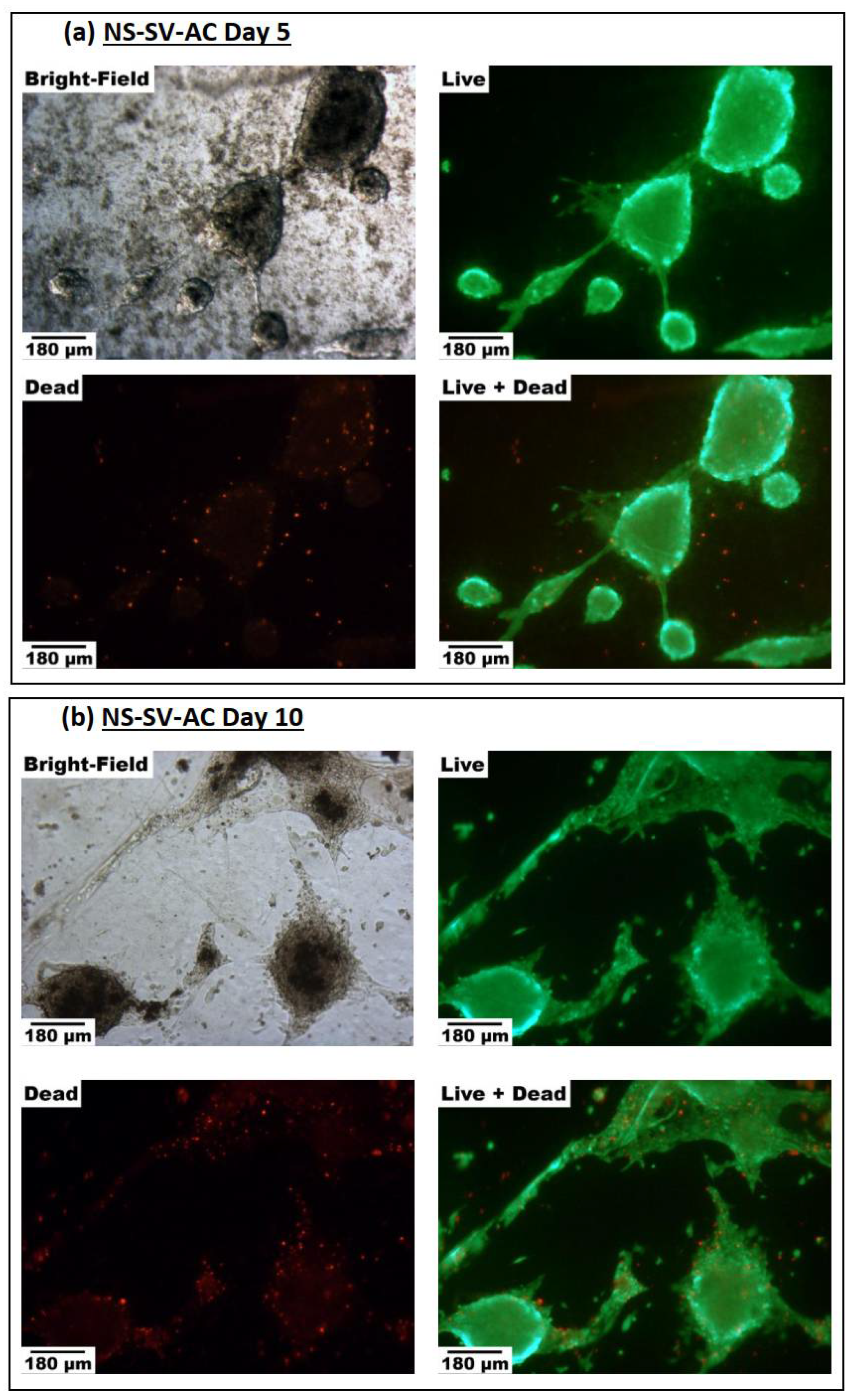 Biomimetics 07 00005 g005a
