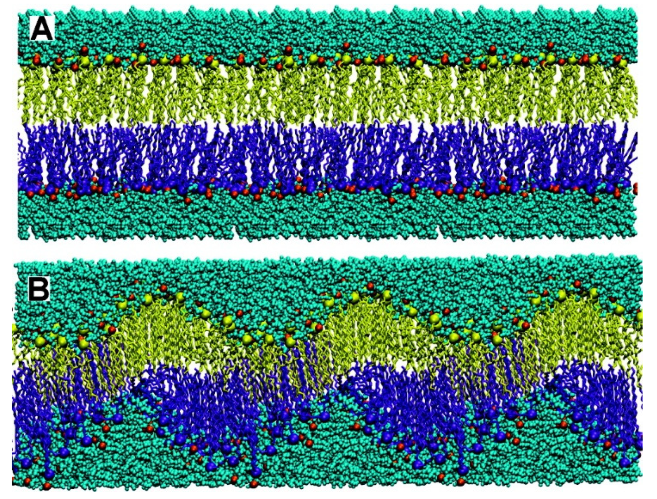 Biomimetics 07 00006 g001