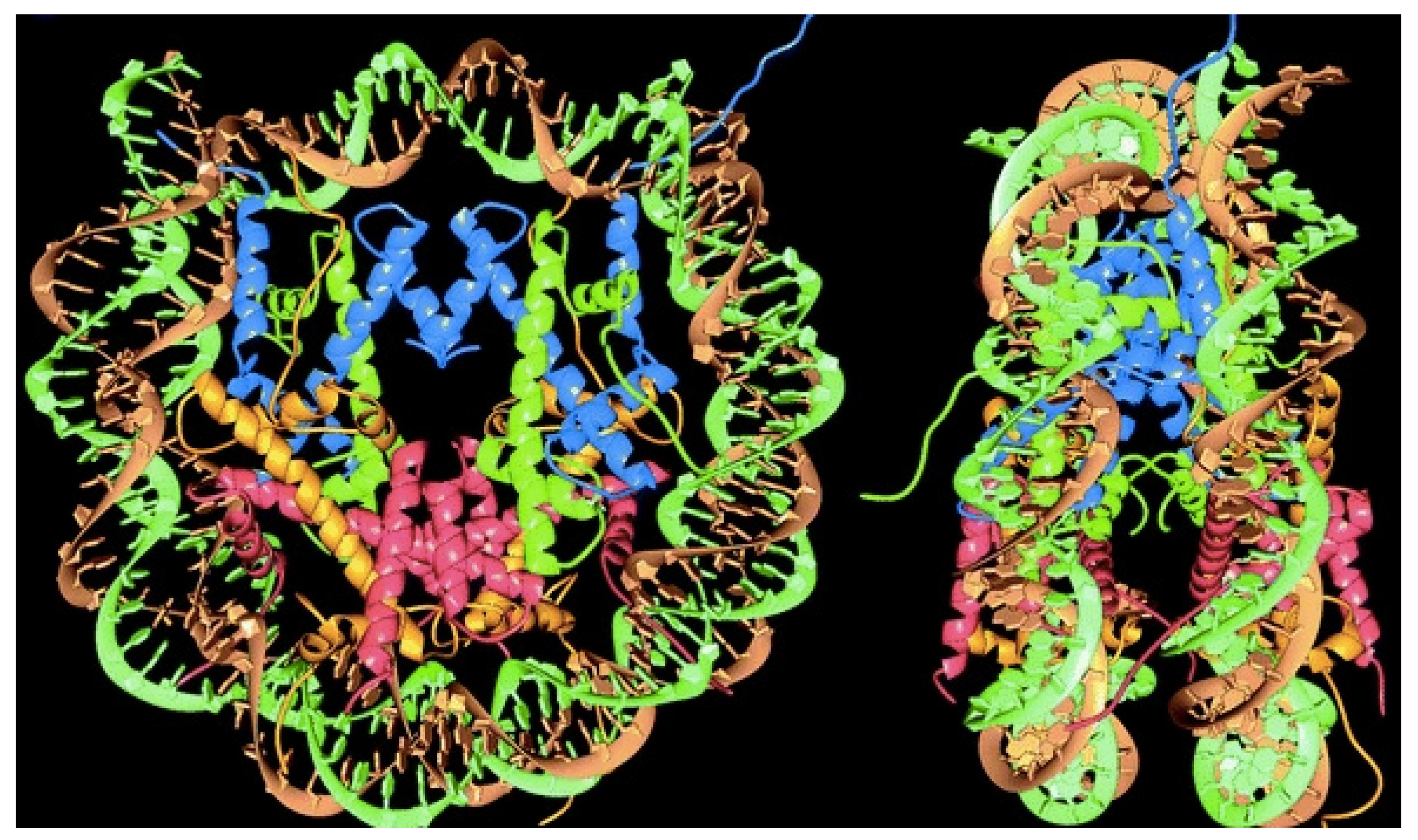 Biomimetics 07 00006 g002