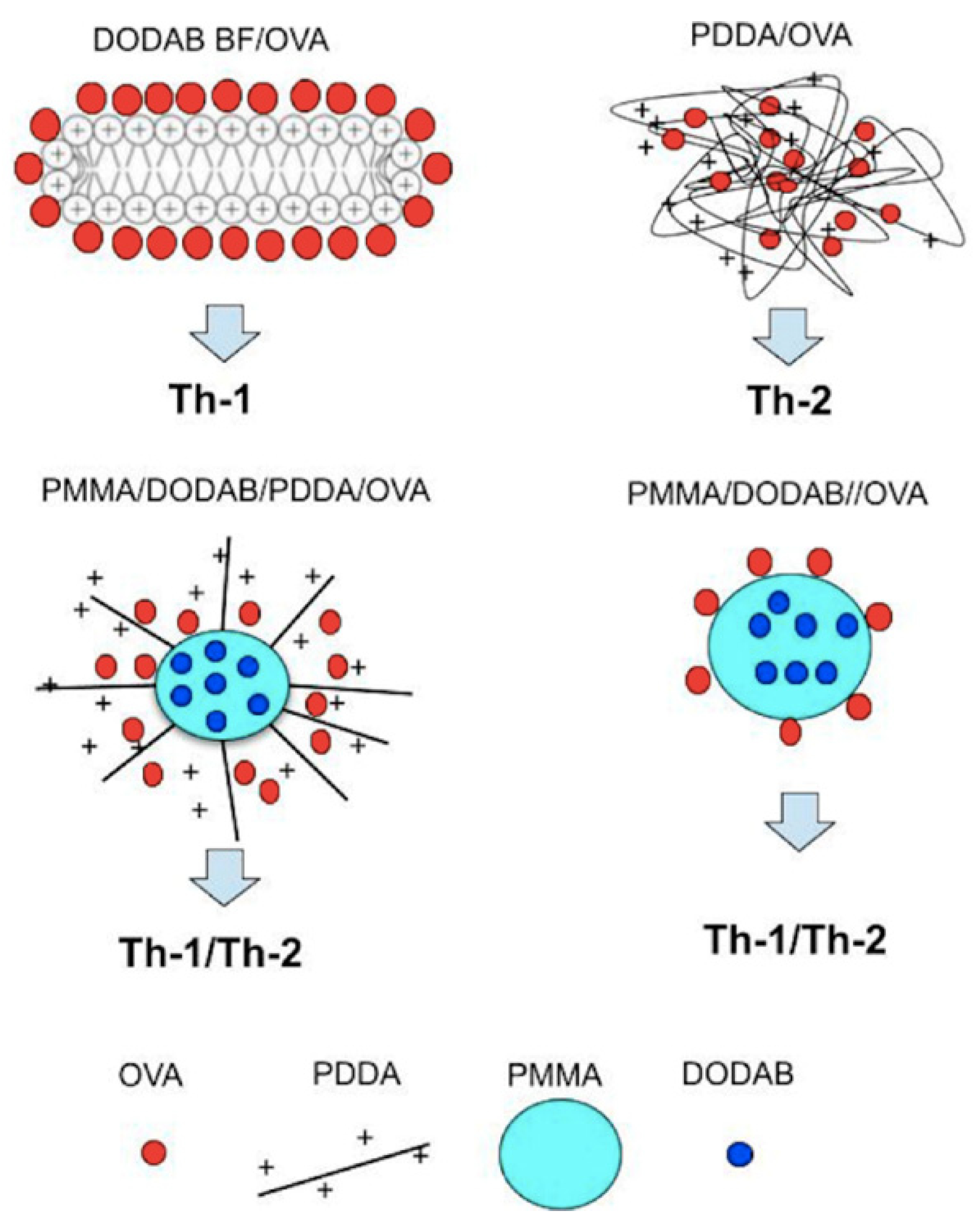 Biomimetics 07 00006 g009