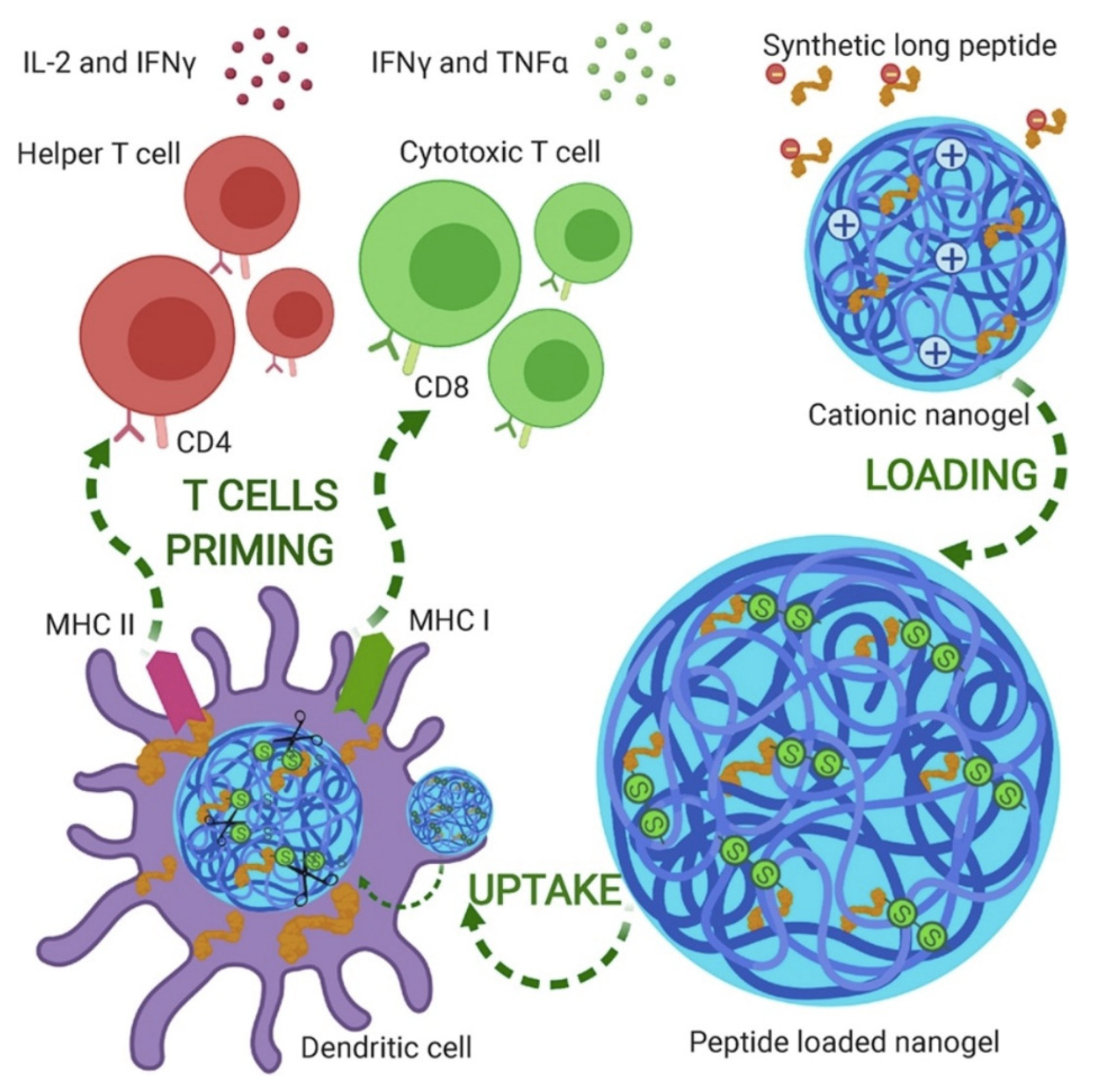 Biomimetics 07 00006 g011