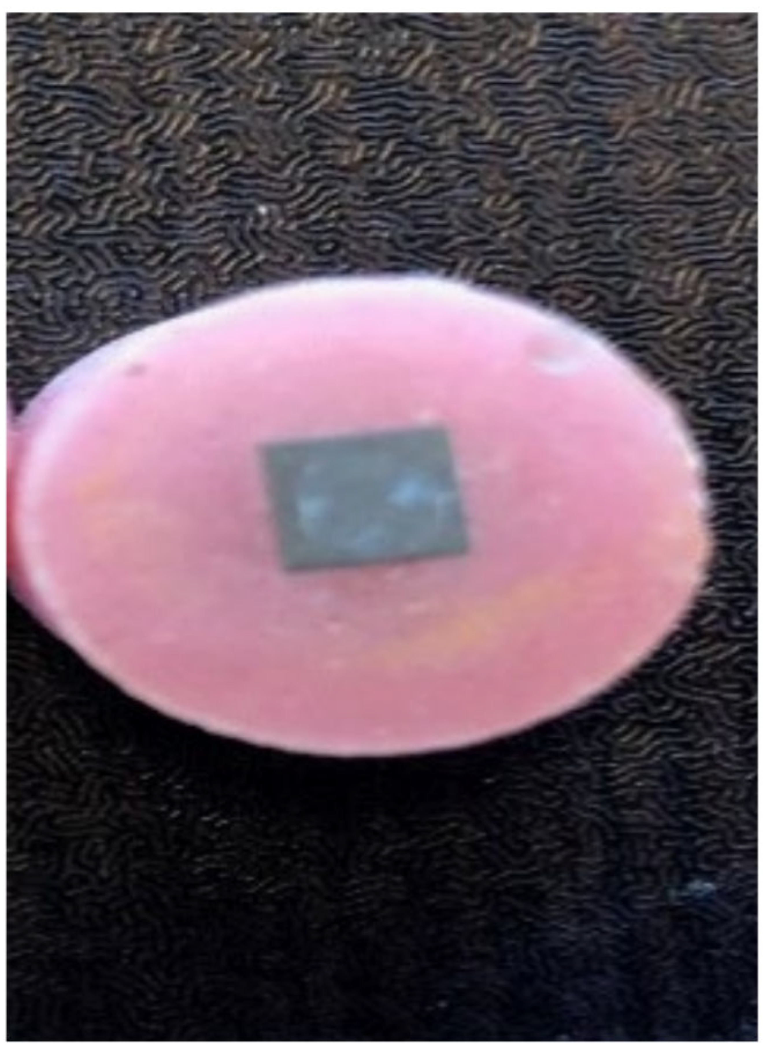 Biomimetics 07 00018 g001