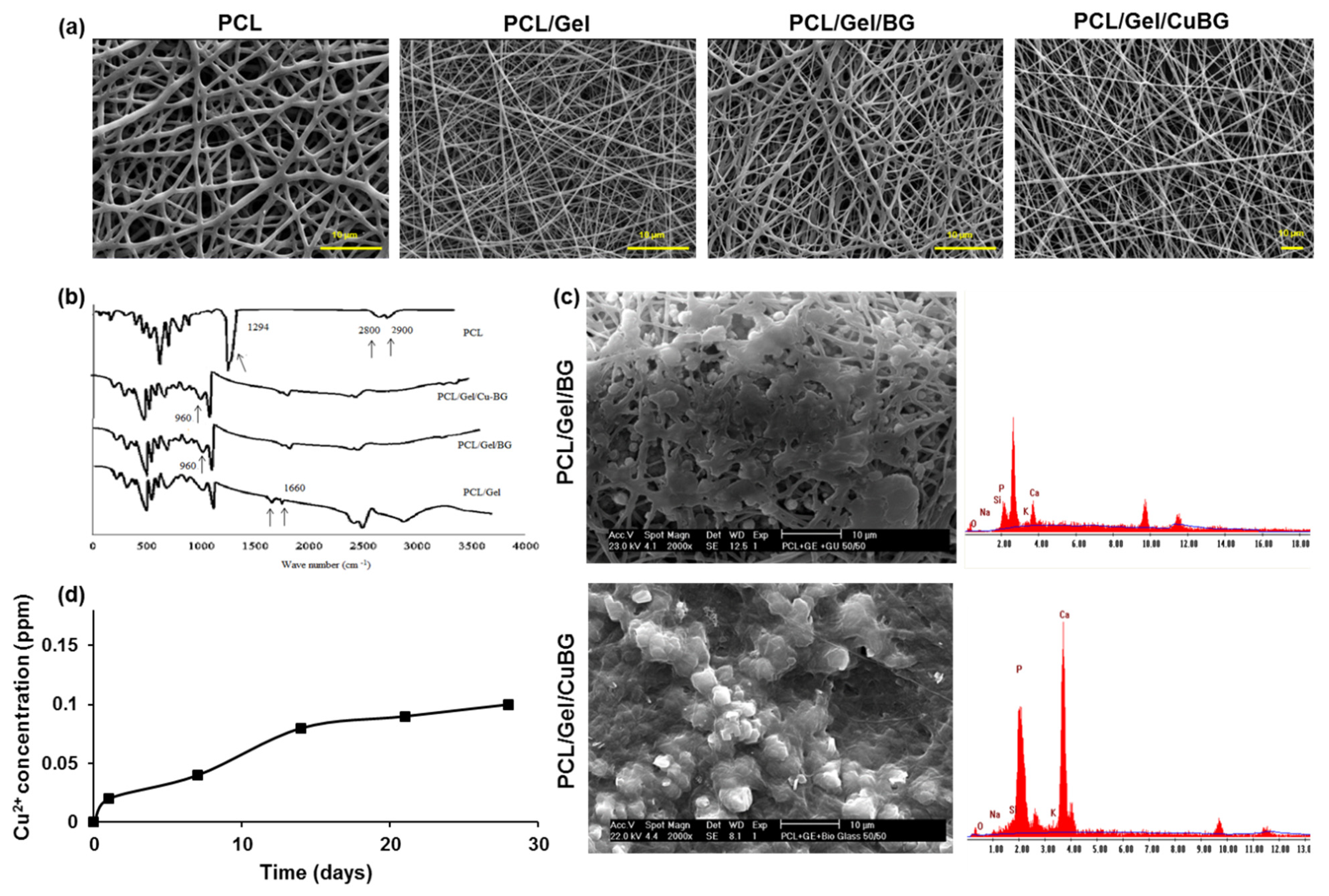 Biomimetics 07 00019 g002