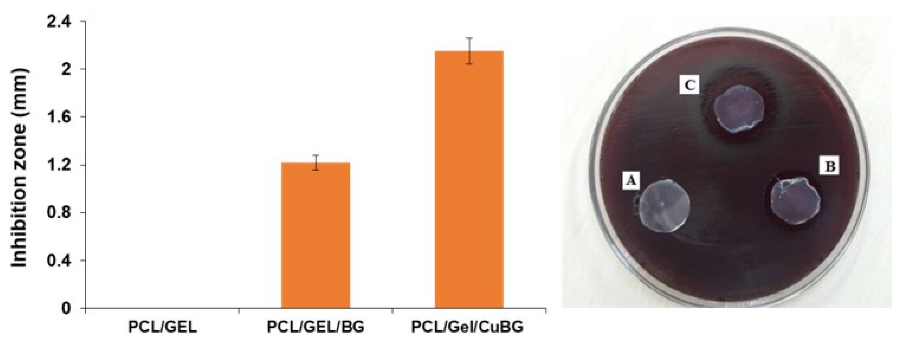 Biomimetics 07 00019 g003