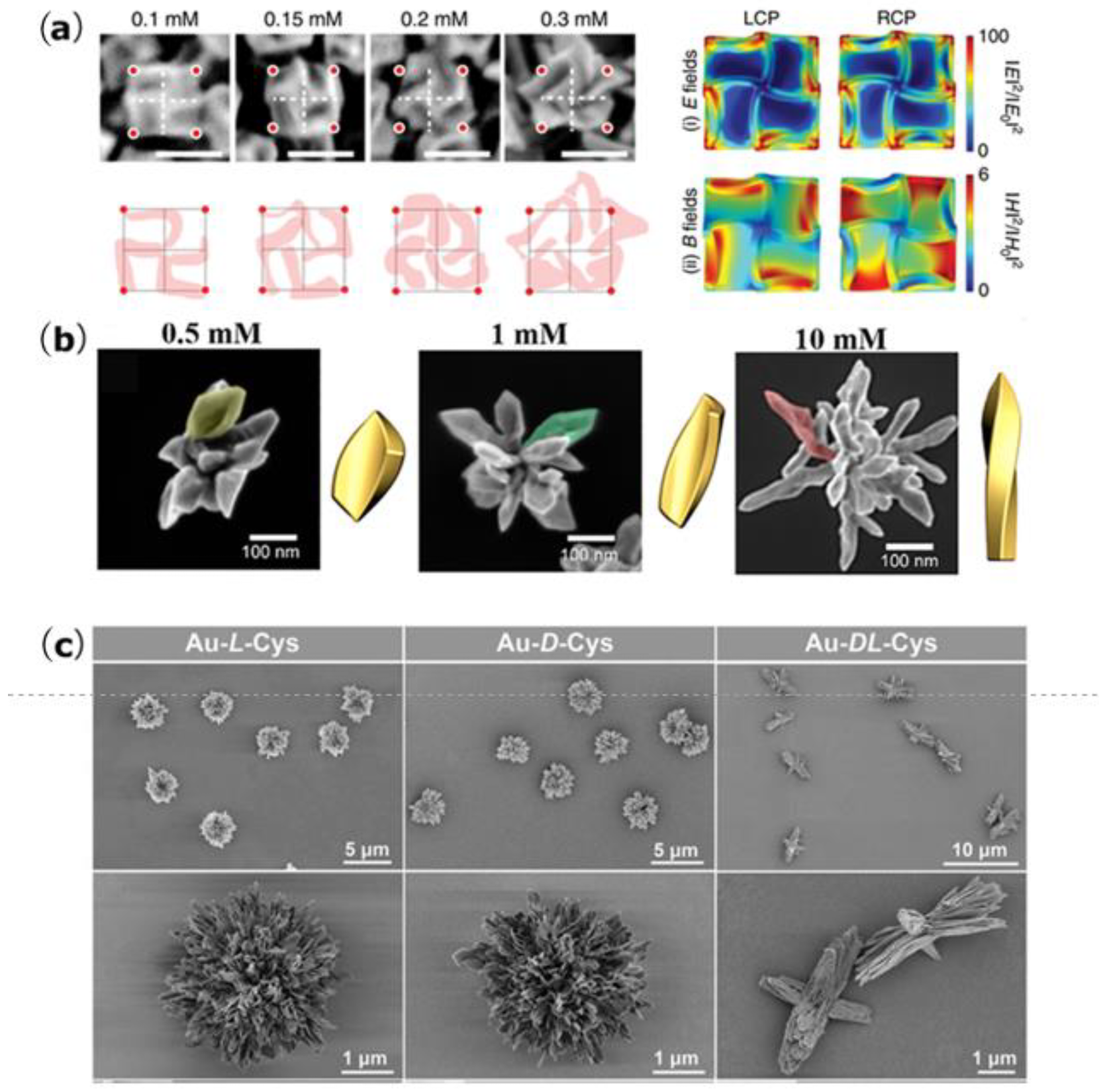 Biomimetics 07 00165 g001