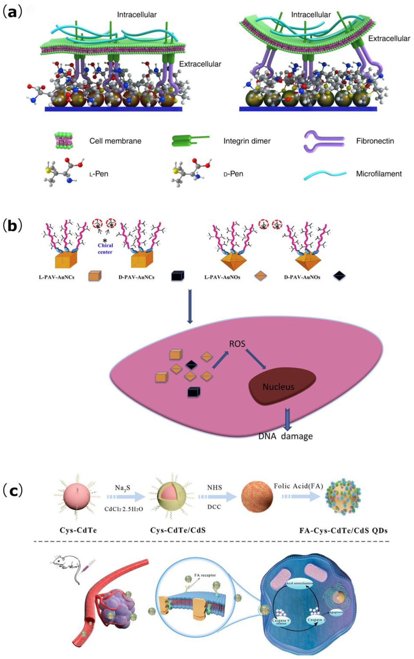 Biomimetics 07 00165 g003
