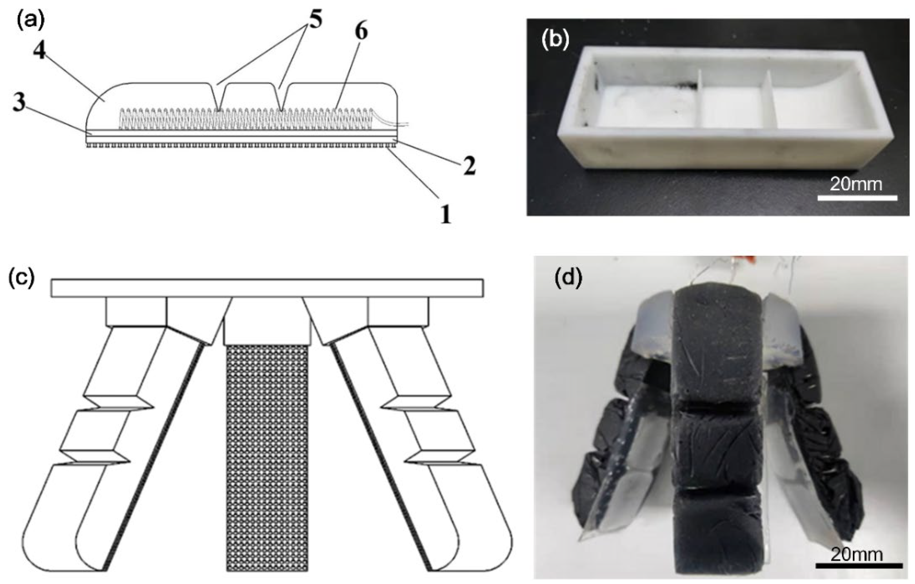 Biomimetics 07 00167 g001
