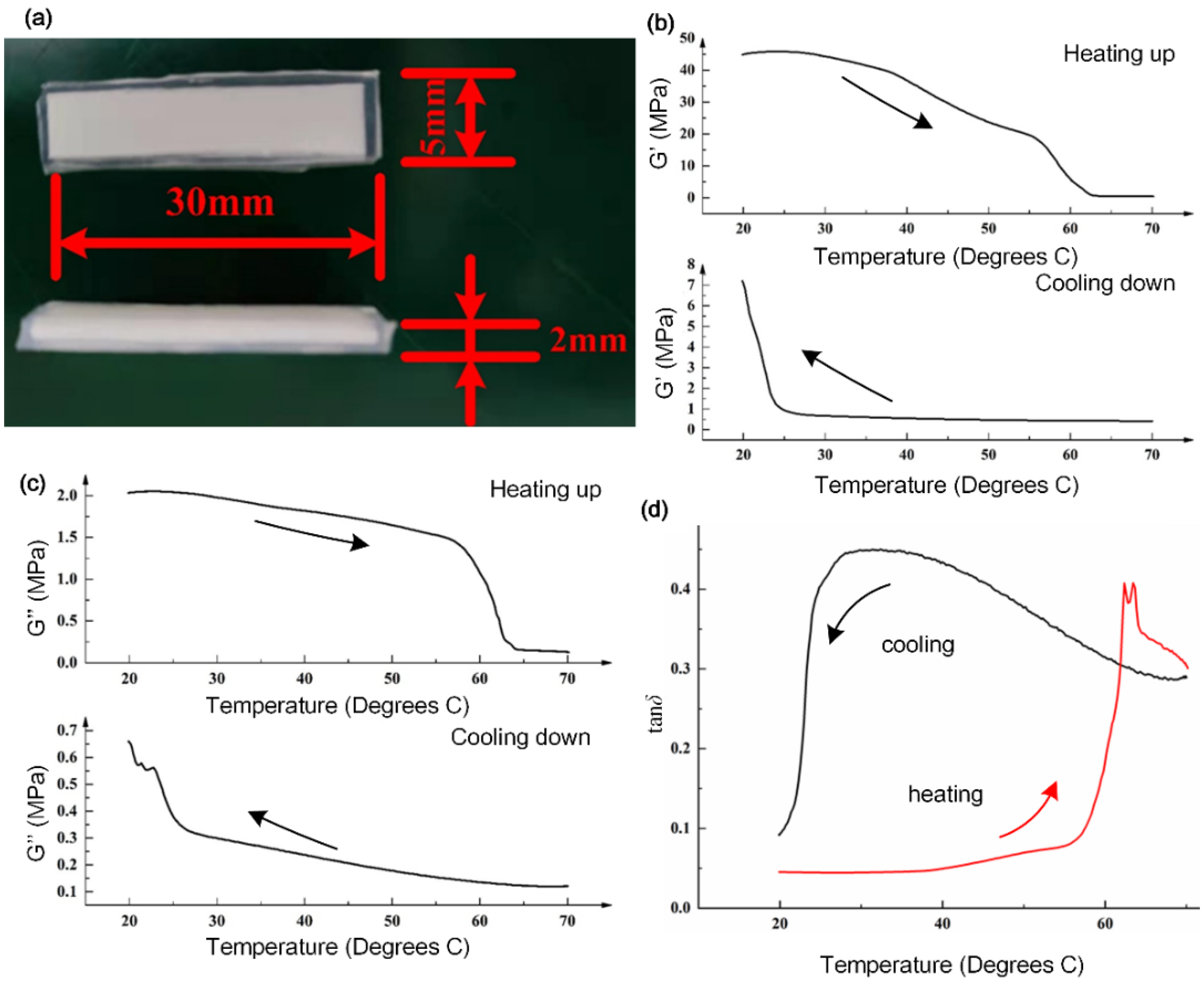 Biomimetics 07 00167 g002