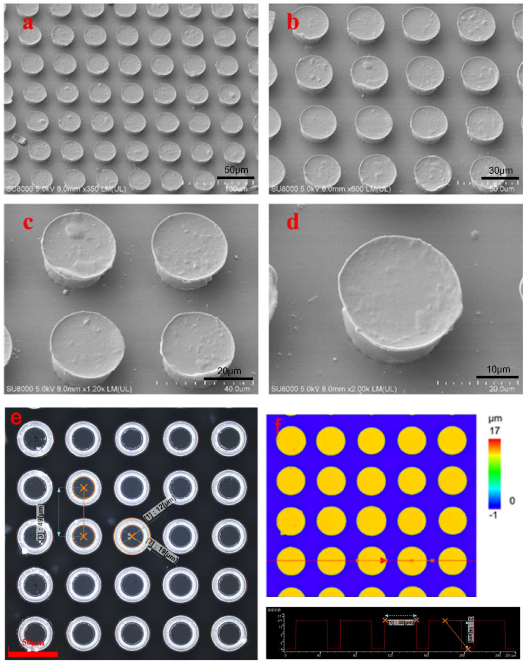 Biomimetics 07 00167 g004