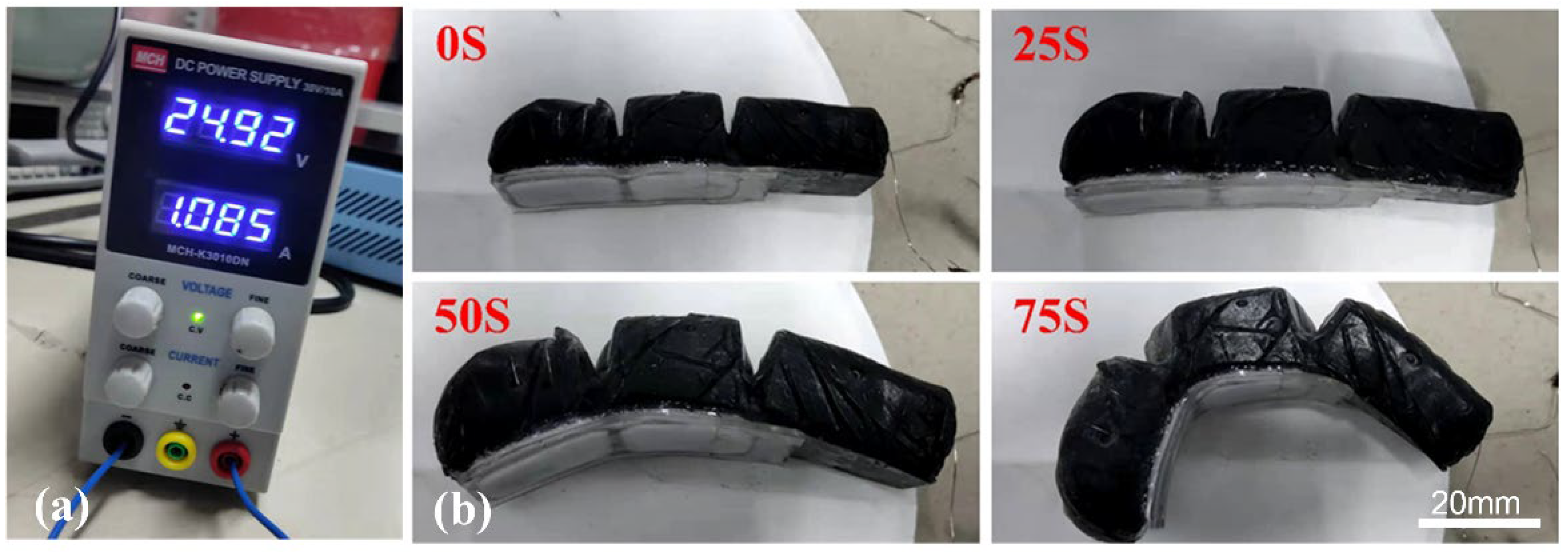 Biomimetics 07 00167 g006