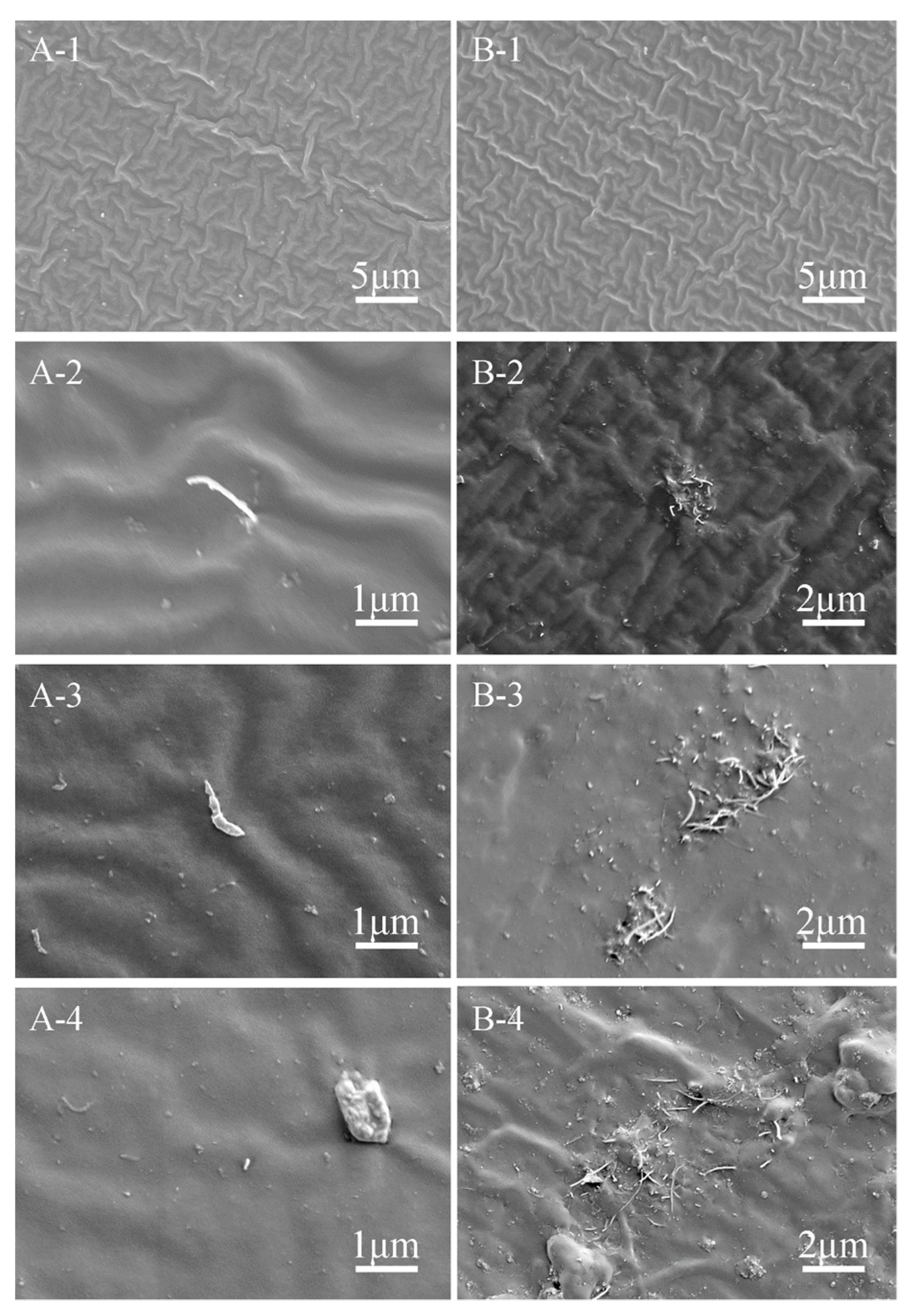 Biomimetics 07 00248 g003 Biomimetics 07 00248 g003