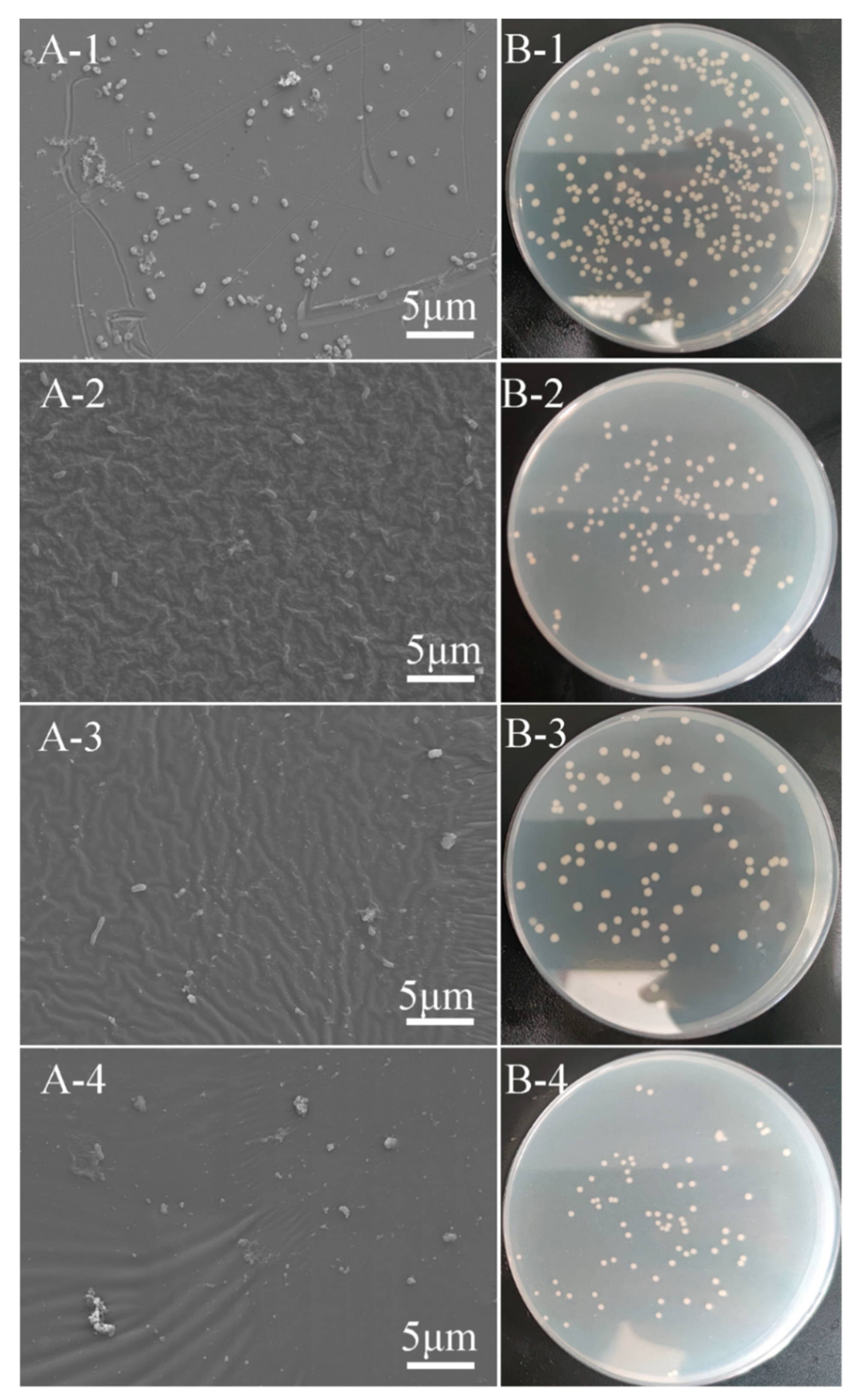 Biomimetics 07 00248 g008 Biomimetics 07 00248 g008