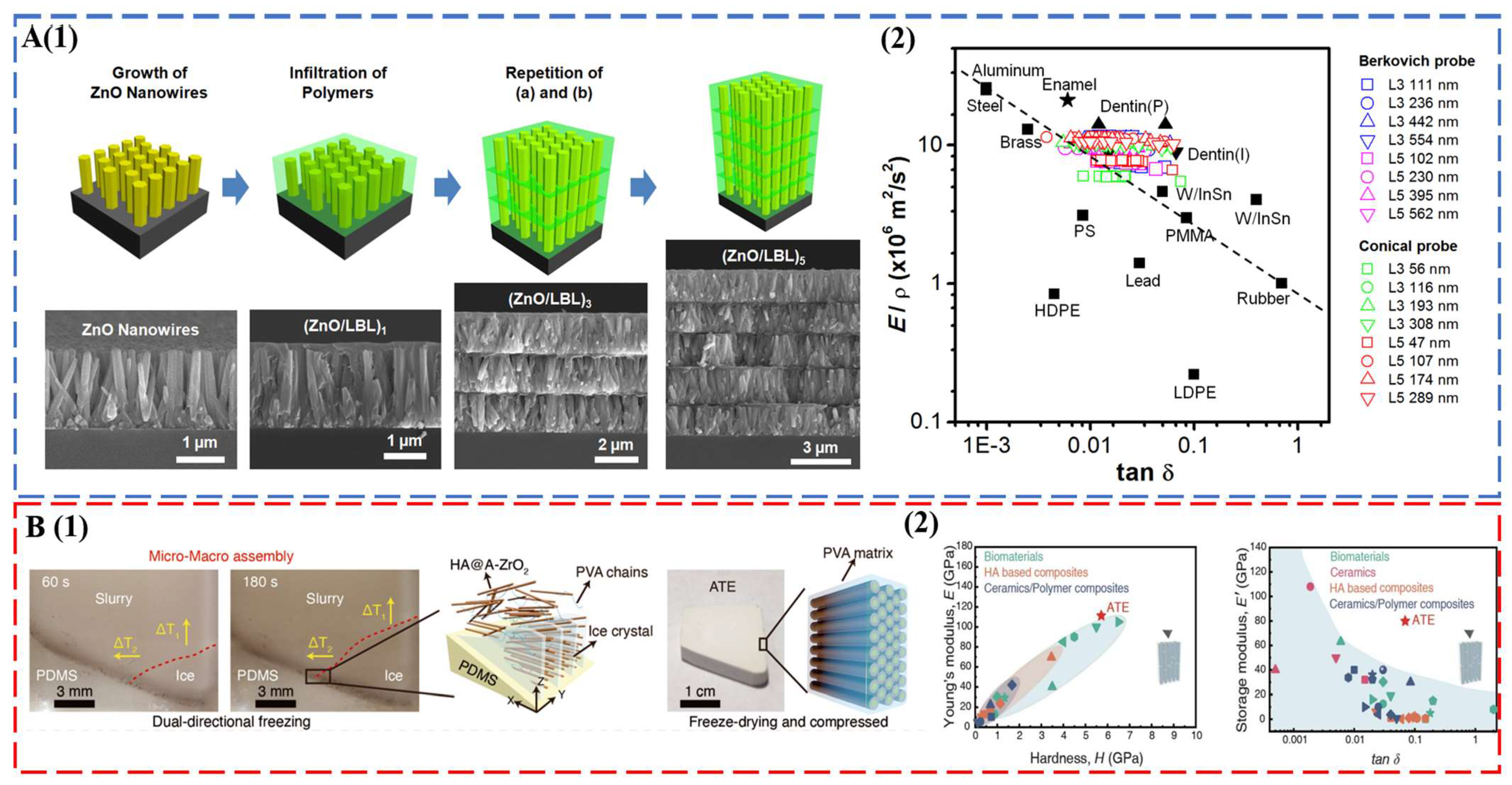 Biomimetics 08 00042 g004