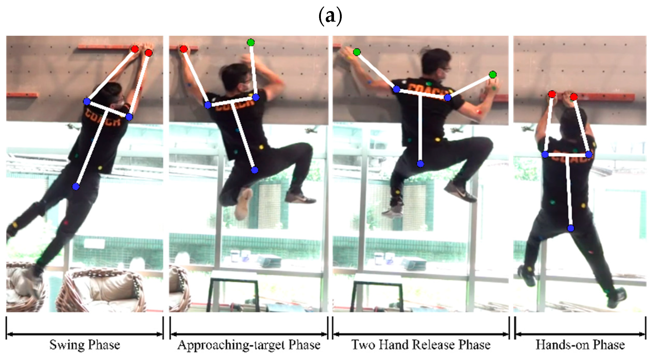Biomimetics 08 00204 g002a