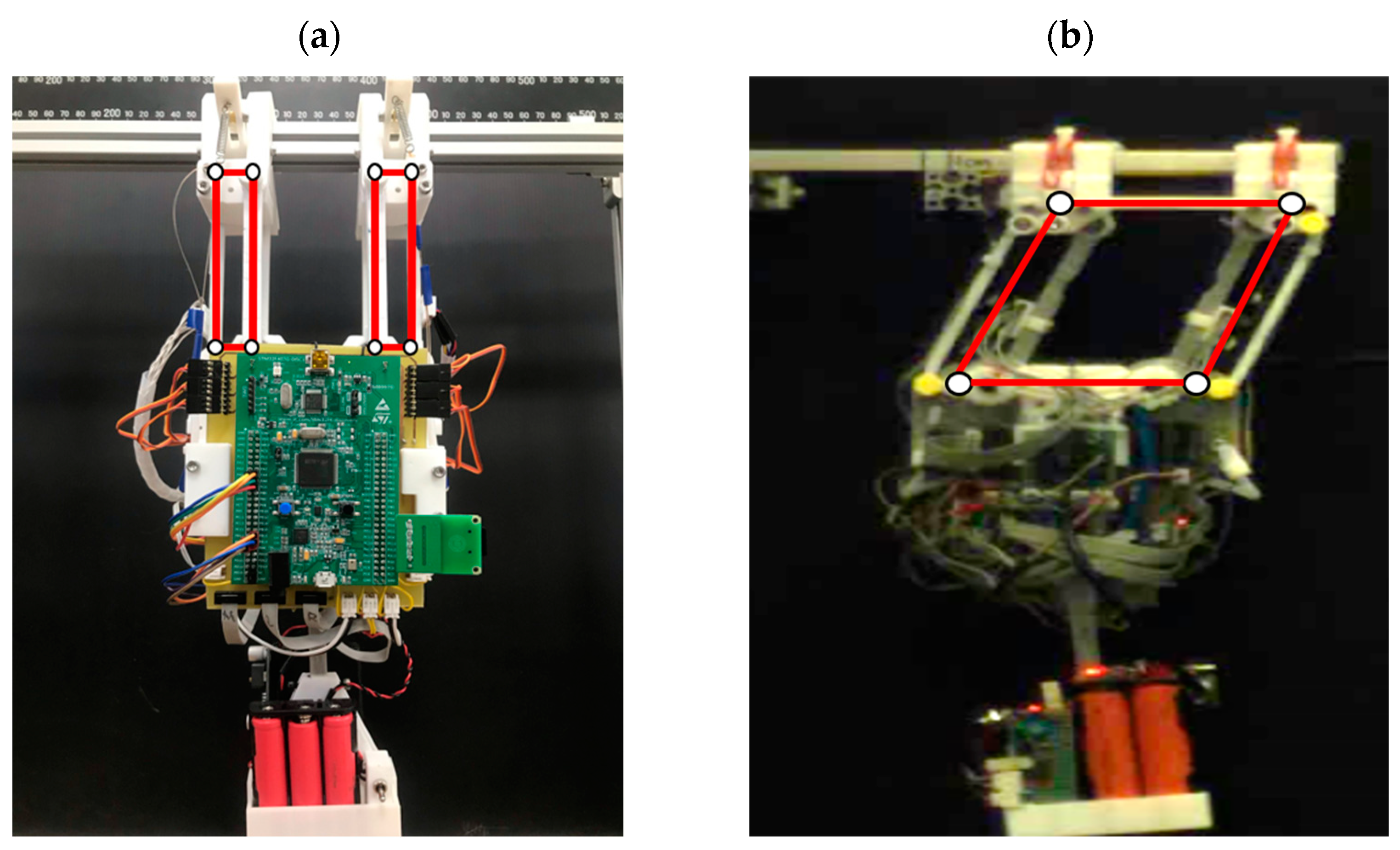 Biomimetics 08 00204 g003